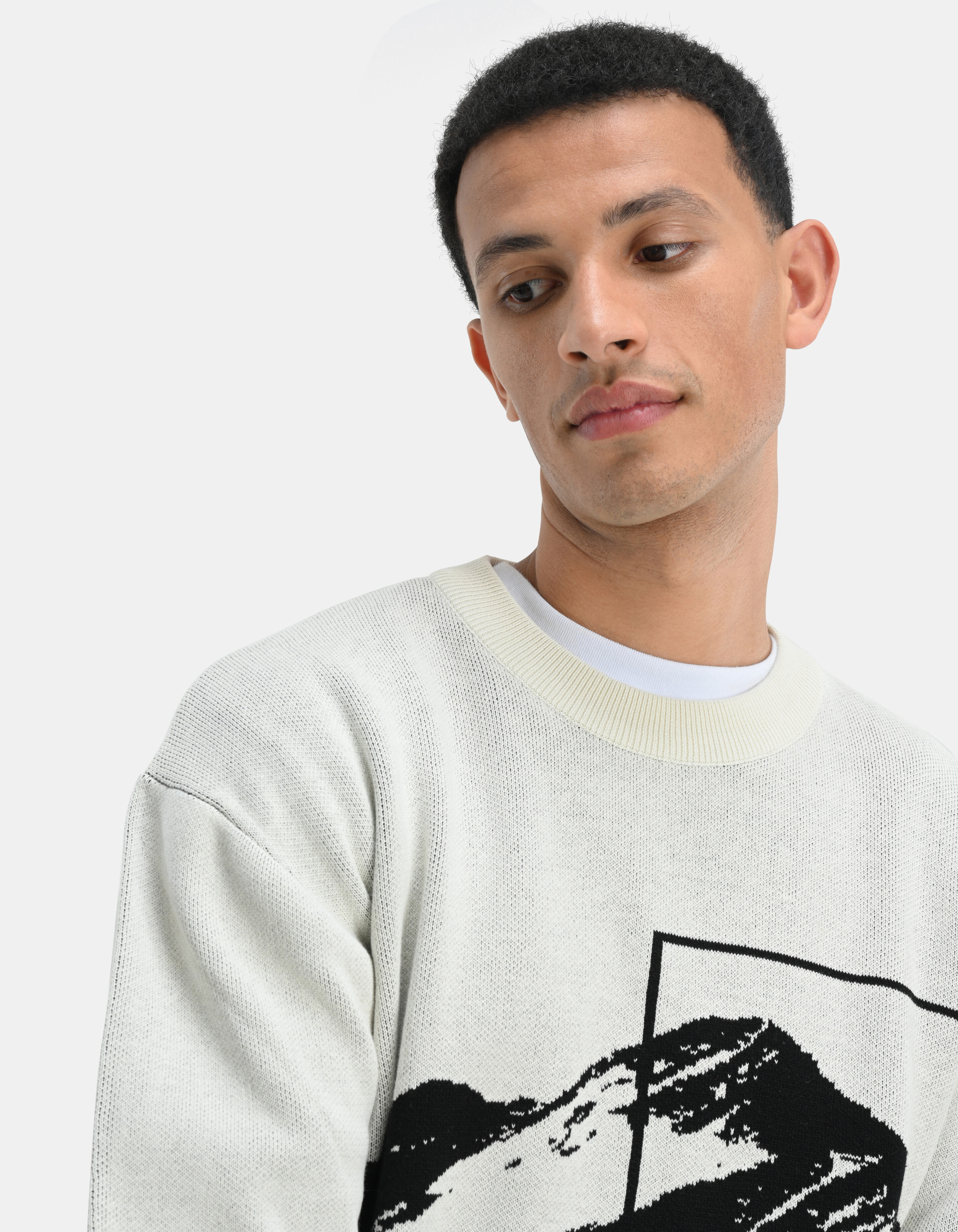 Pullover mit grafischem Aufdruck SHOEBY MEN