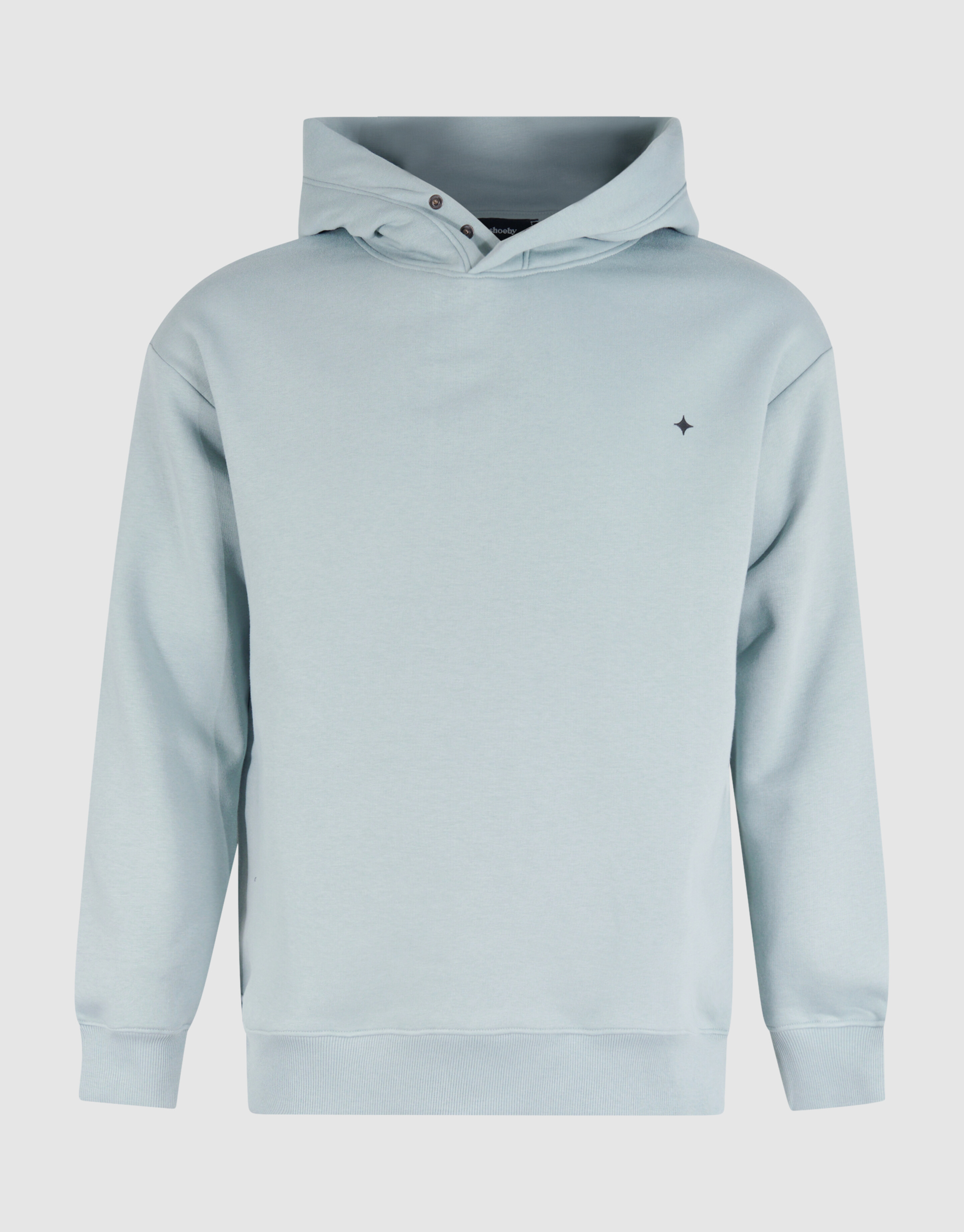 Relaxed Fit Hoodie Hellgrün SHOEBY MEN