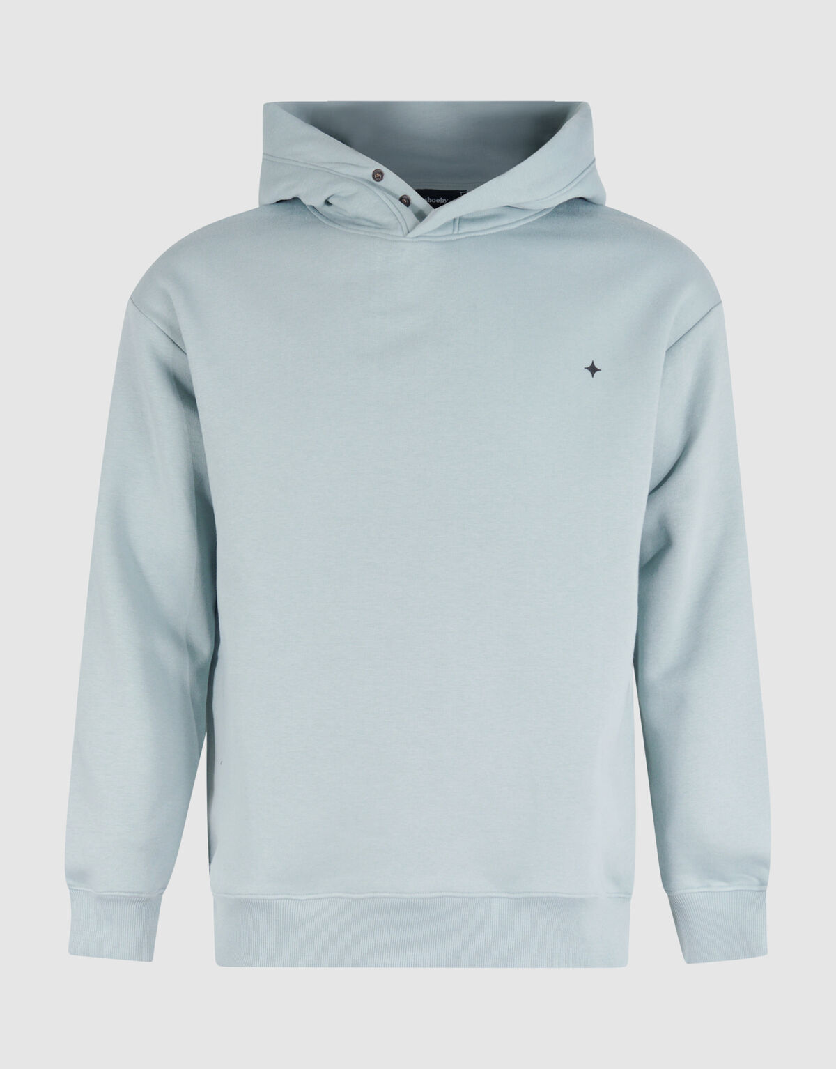 Relaxed Fit Hoodie Hellgrün SHOEBY MEN
