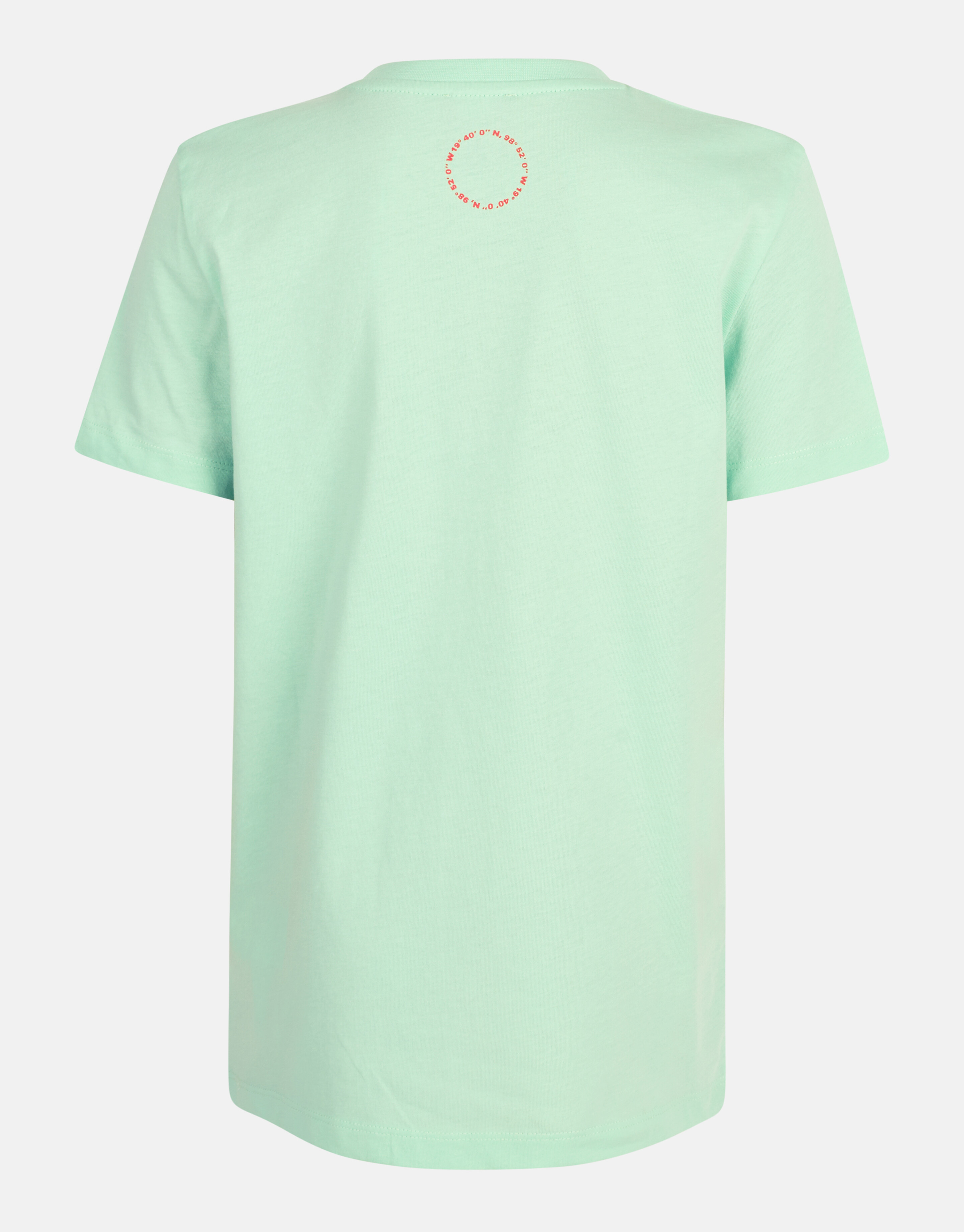 Artwork T-shirt Hellgrün SHOEBY BOYS