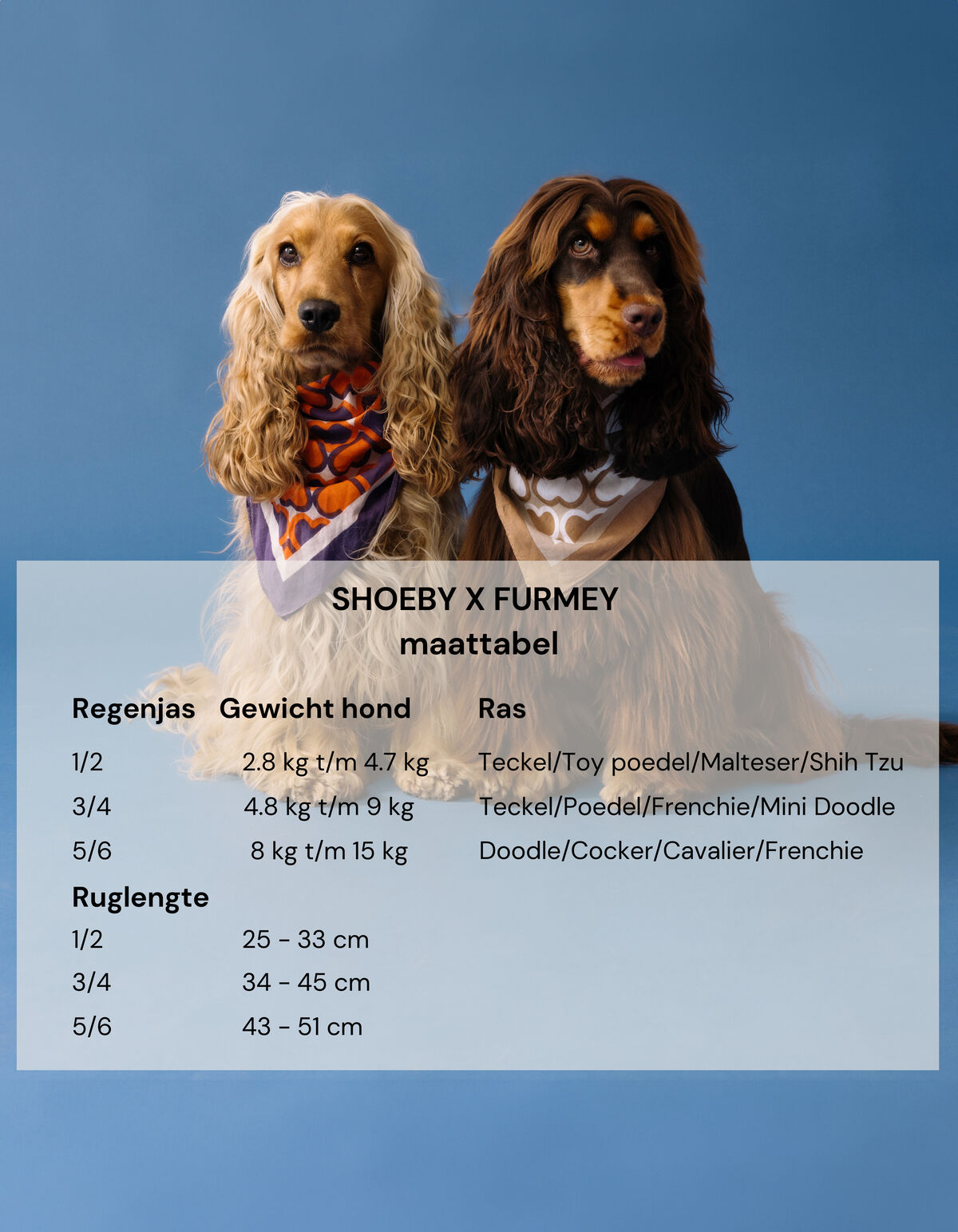 Bedruckter Hunderegenmantel Orange SHOEBY ACCESSOIRES