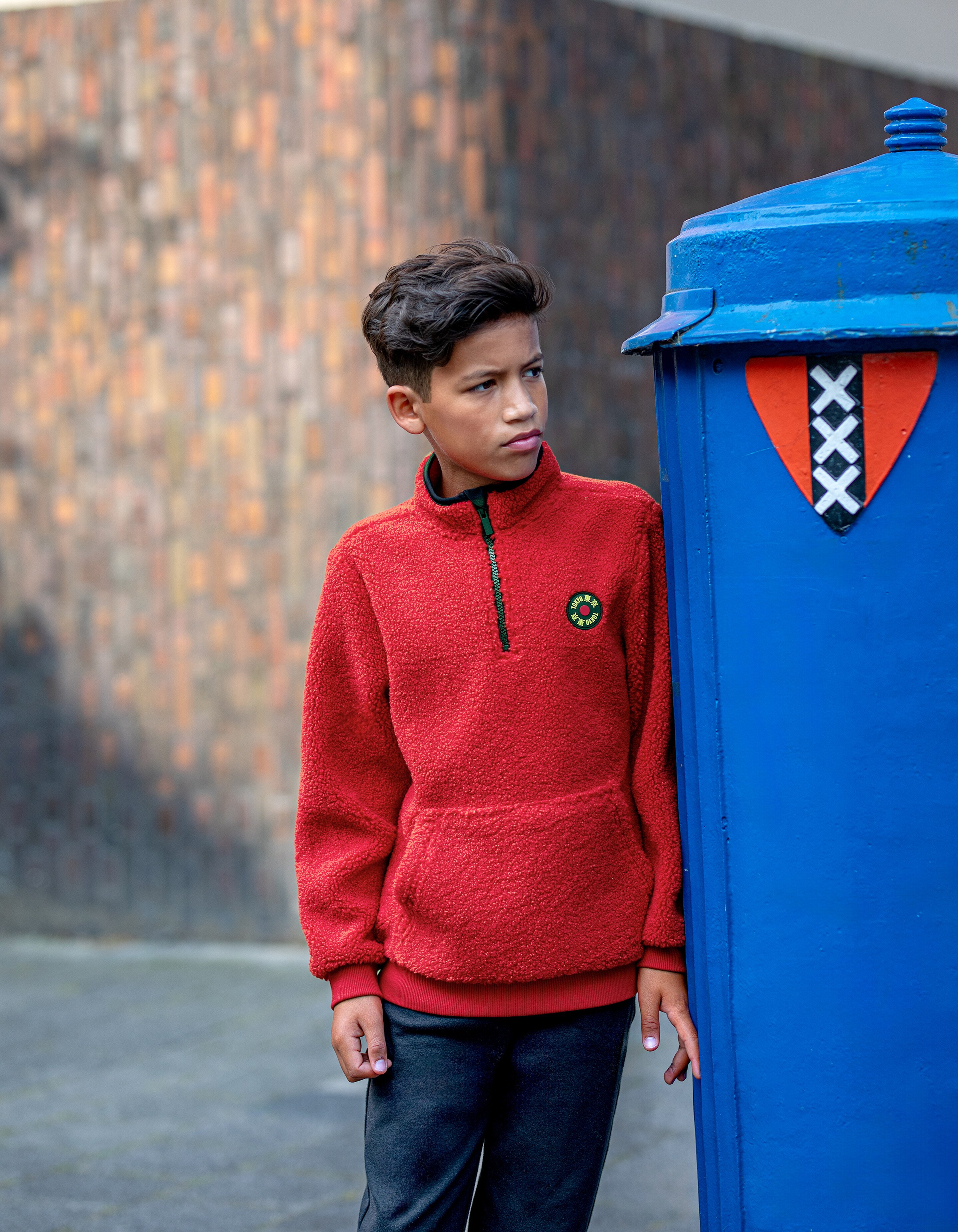 Teddy-Fleece-Pullover Rot SHOEBY BOYS
