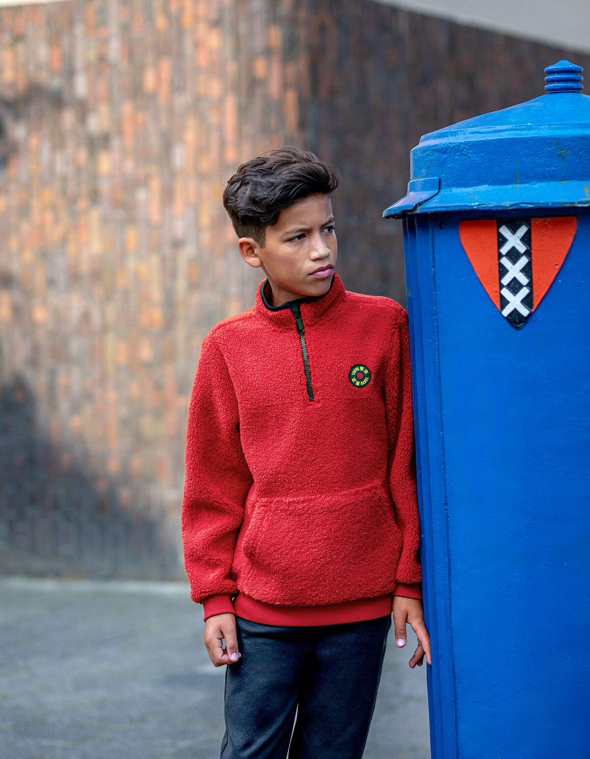 Teddy-Fleece-Pullover Rot SHOEBY BOYS