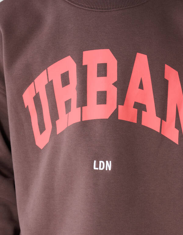 Urban Pullover Braun SHOEBY BOYS