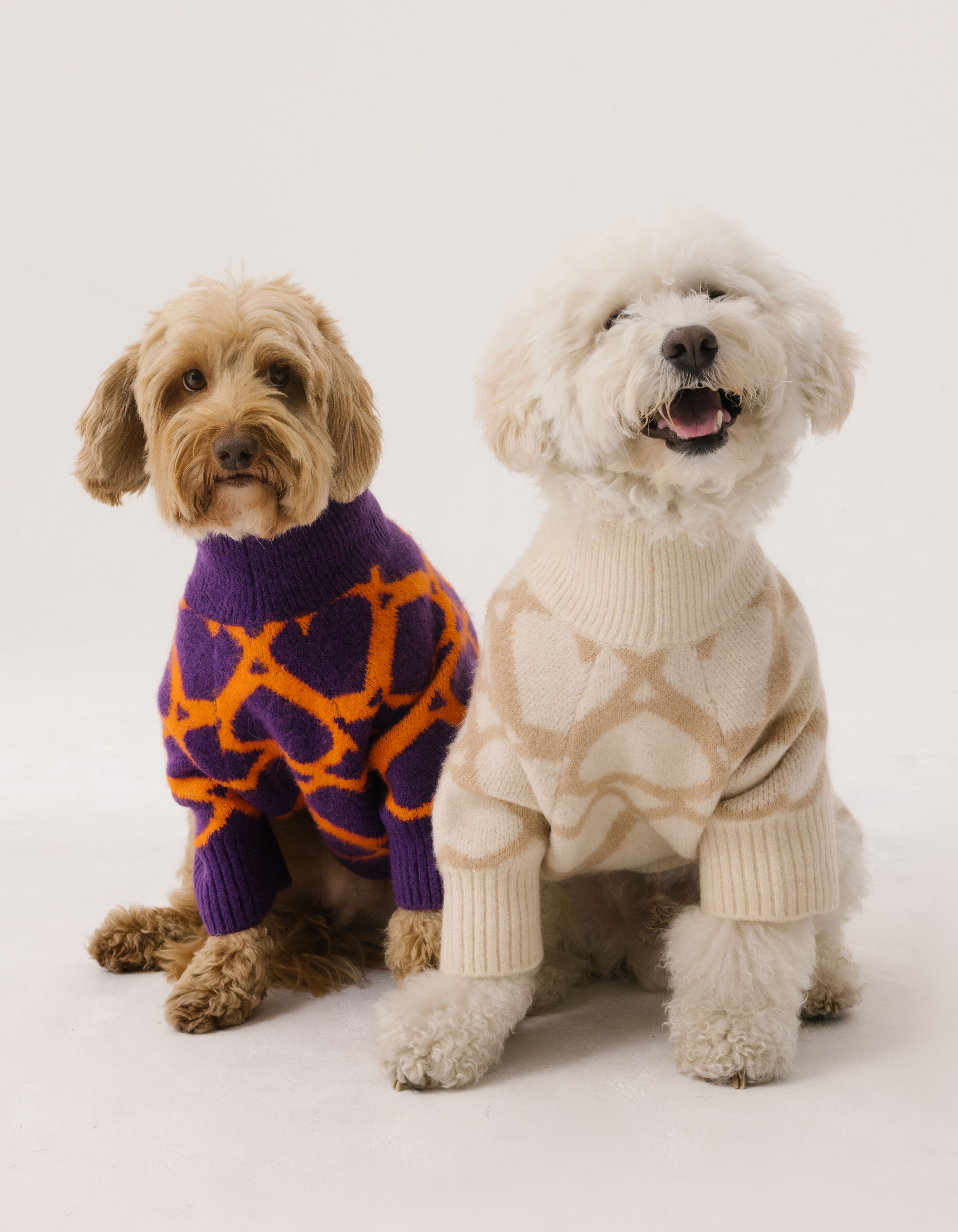 White dog sweater new arrivals
