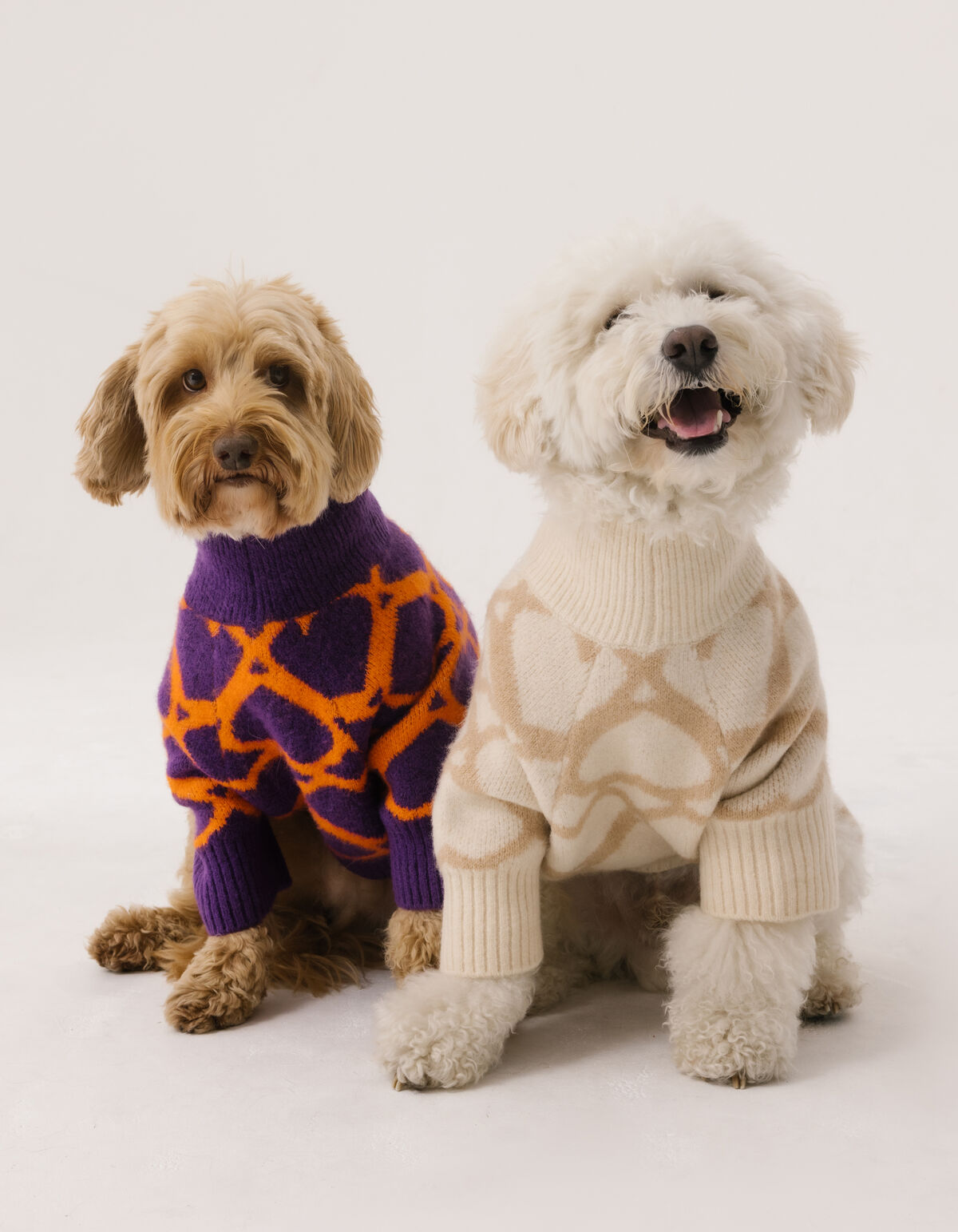 Herz gedruckt Hund Pullover Off White SHOEBY ACCESSOIRES