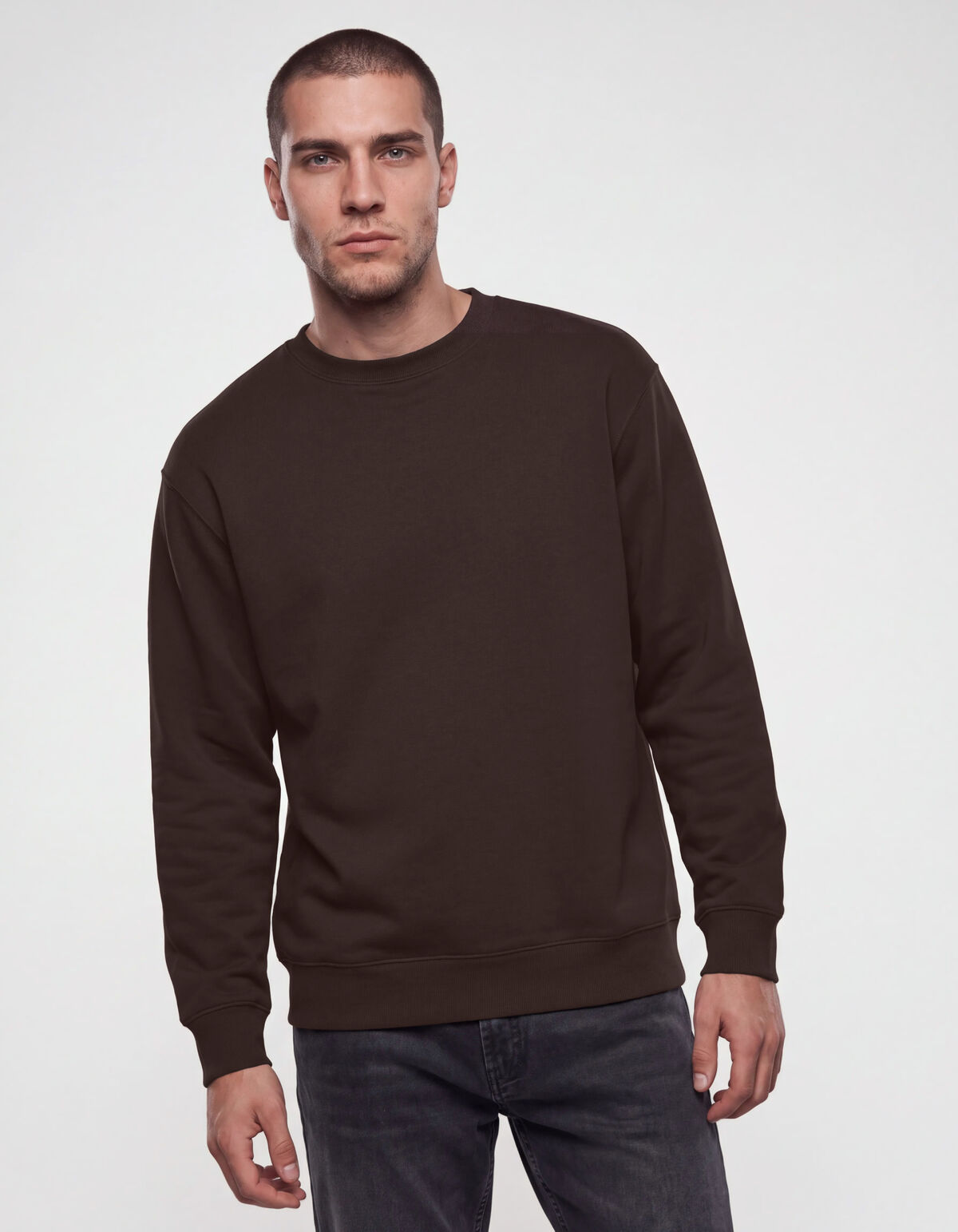 Pullover mit Rundhalsausschnitt dunkelbraun SHOEBY MEN