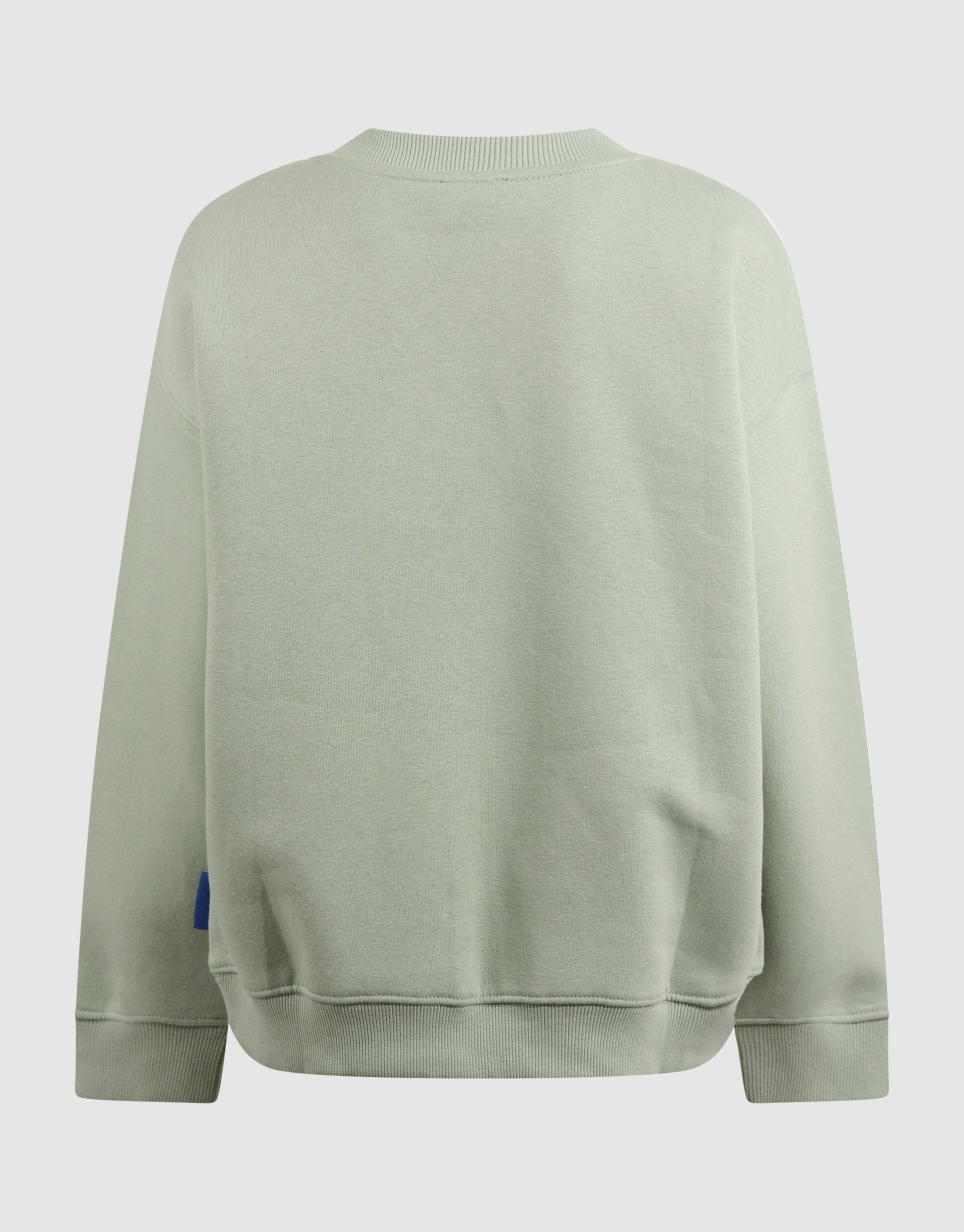 Trailraze Kunstwerk Pullover Grün SHOEBY BOYS