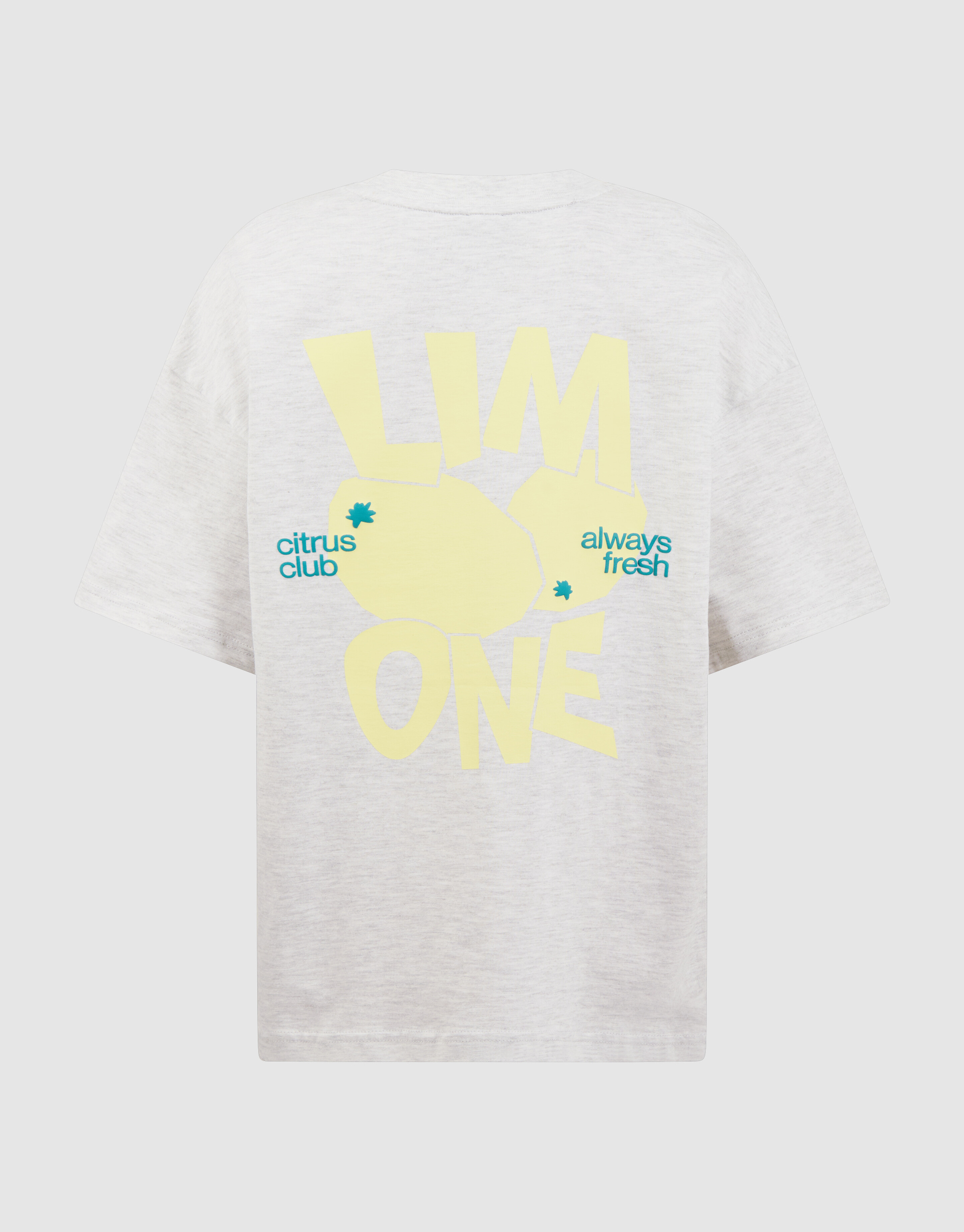 Citrus Artwork T-Shirt Hellgrau SHOEBY BOYS