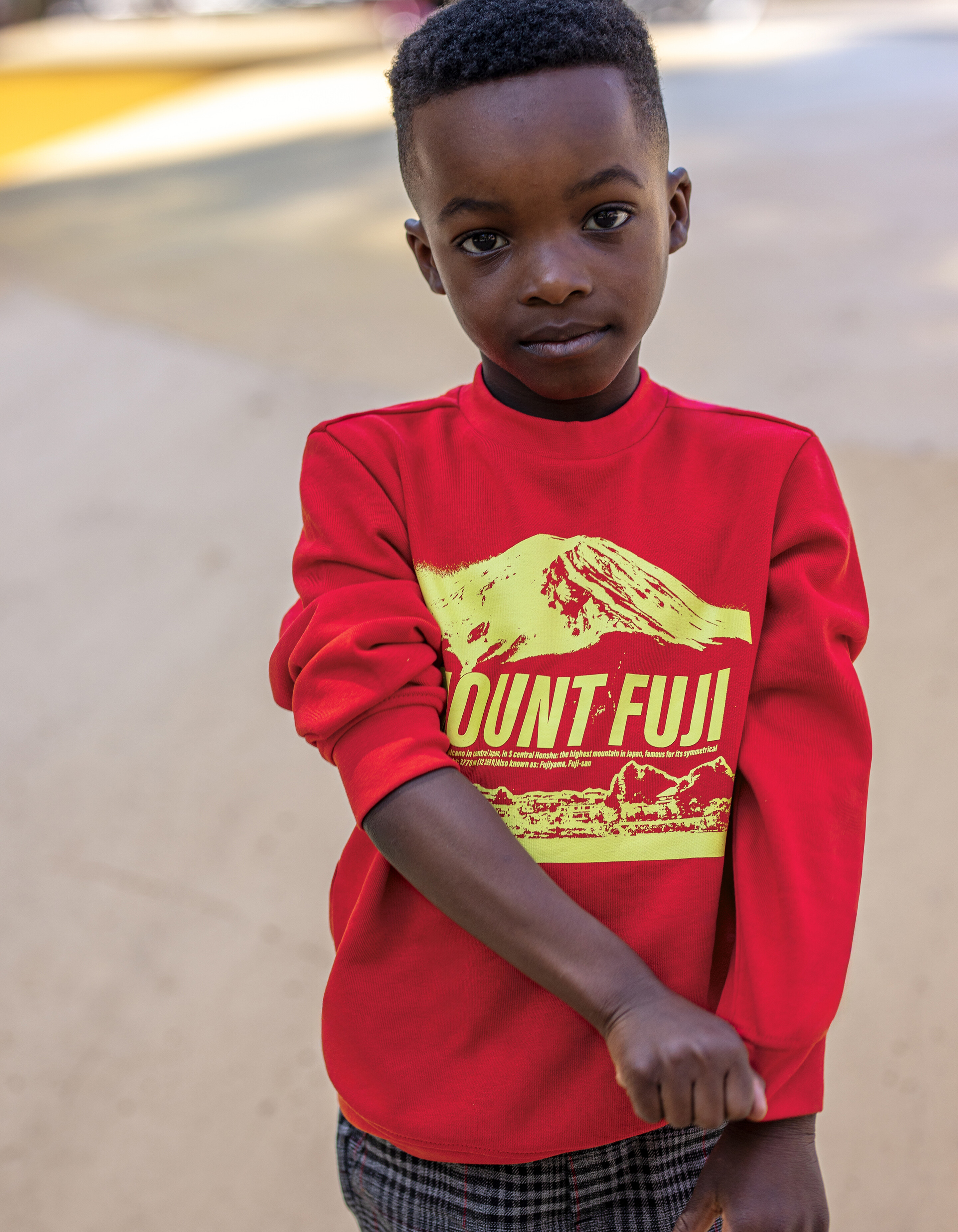 Bedruckter Pullover Rot SHOEBY BOYS
