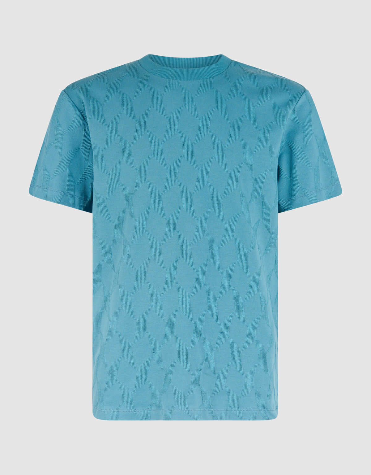 Structuur T-shirt Blauw SHOEBY MEN