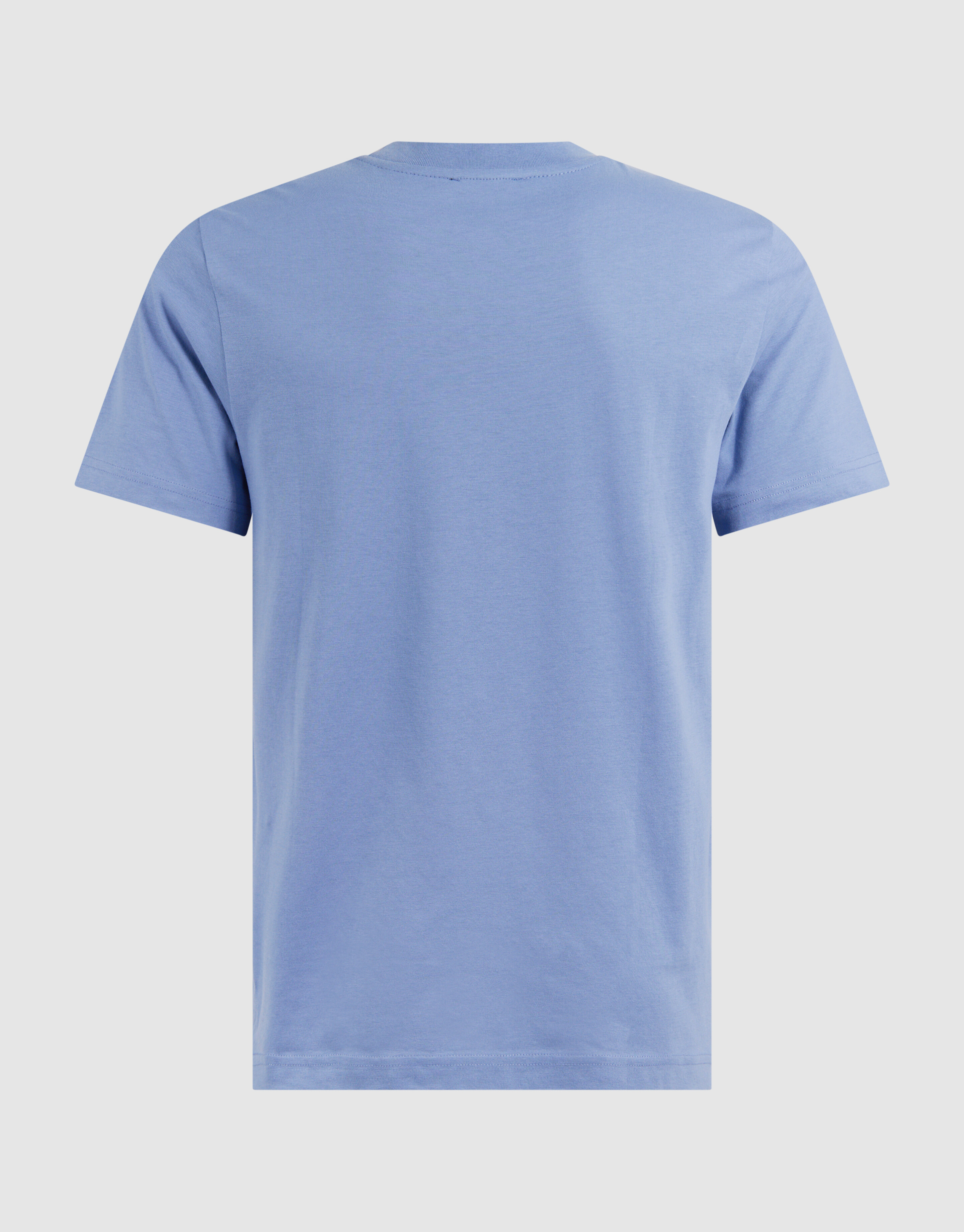 Palm Artwork T-shirt Hellblau SHOEBY MEN