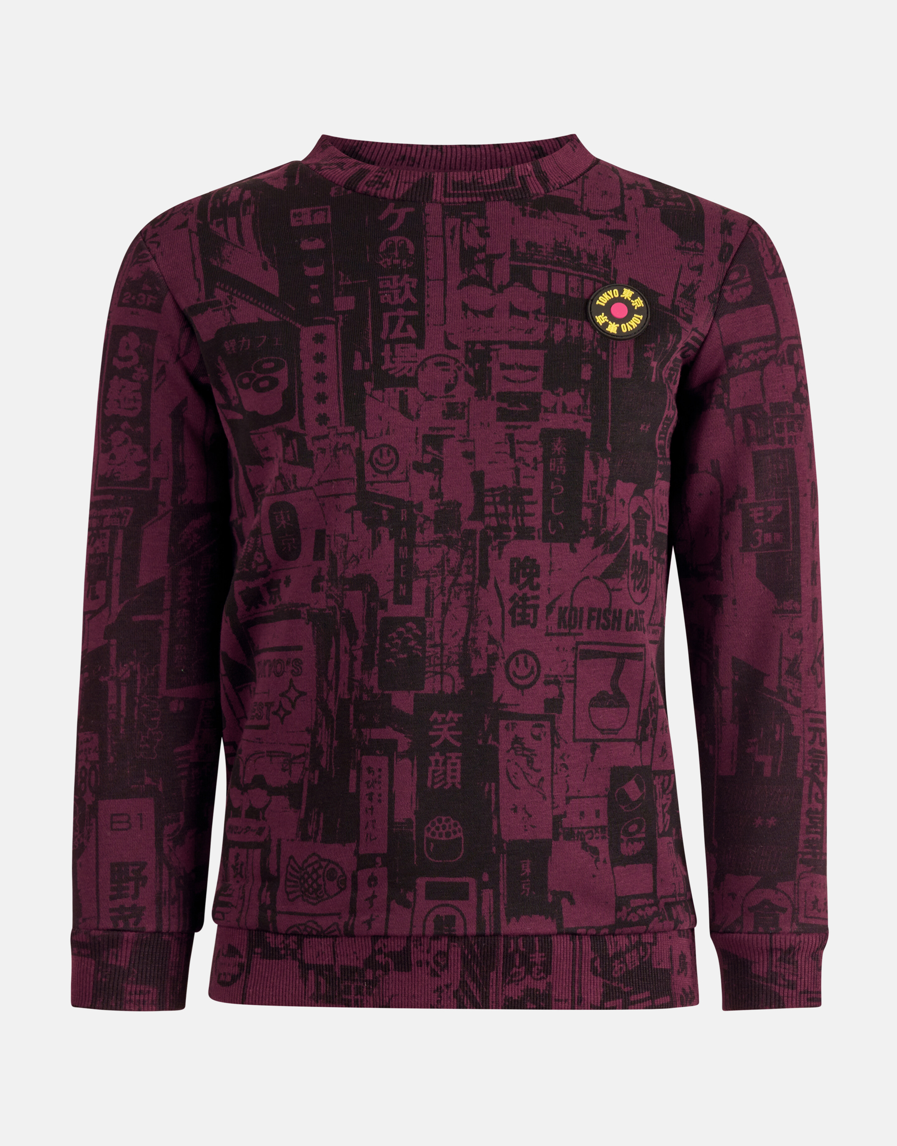 Printed Sweater Bordeaux SHOEBY BOYS