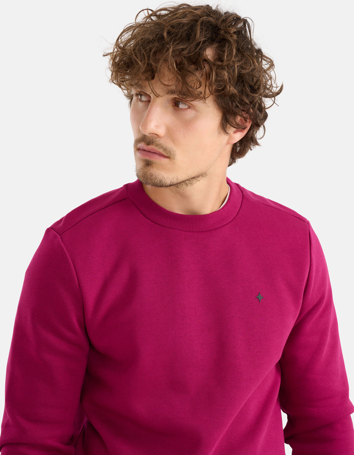 Glitzer-Pullover Bordeaux SHOEBY MEN