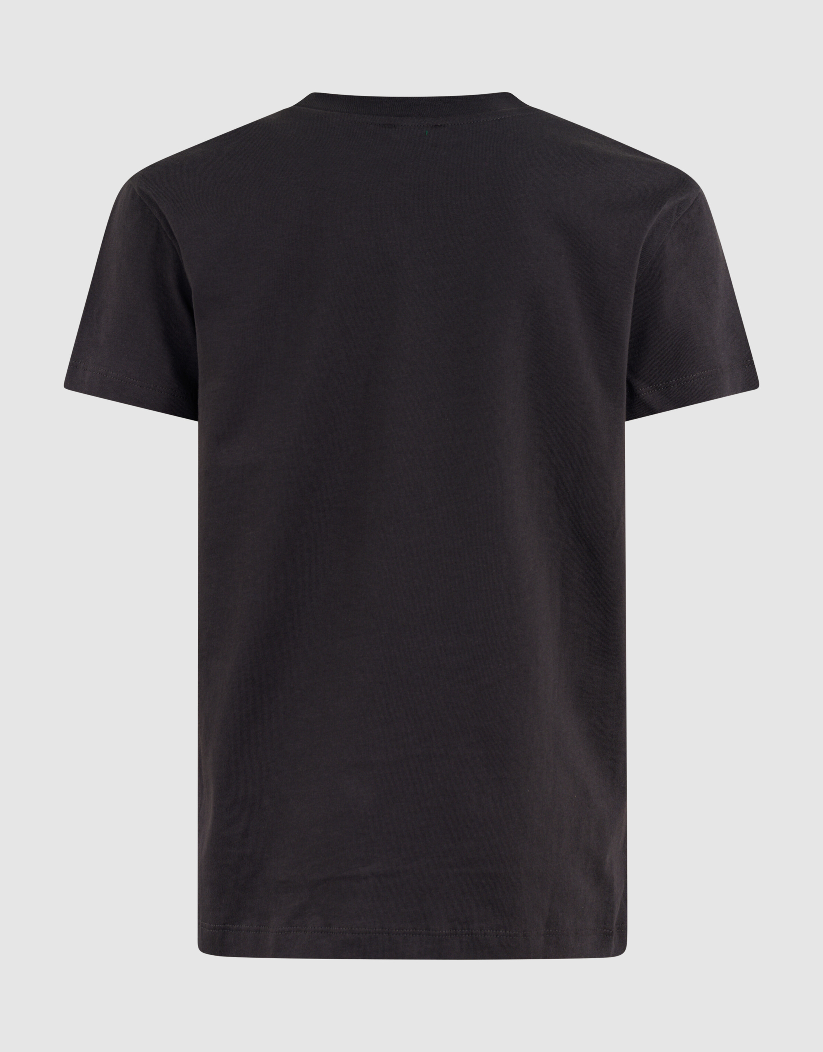 Surf Club Artwork T-shirt Dunkelgrau SHOEBY GIRLS