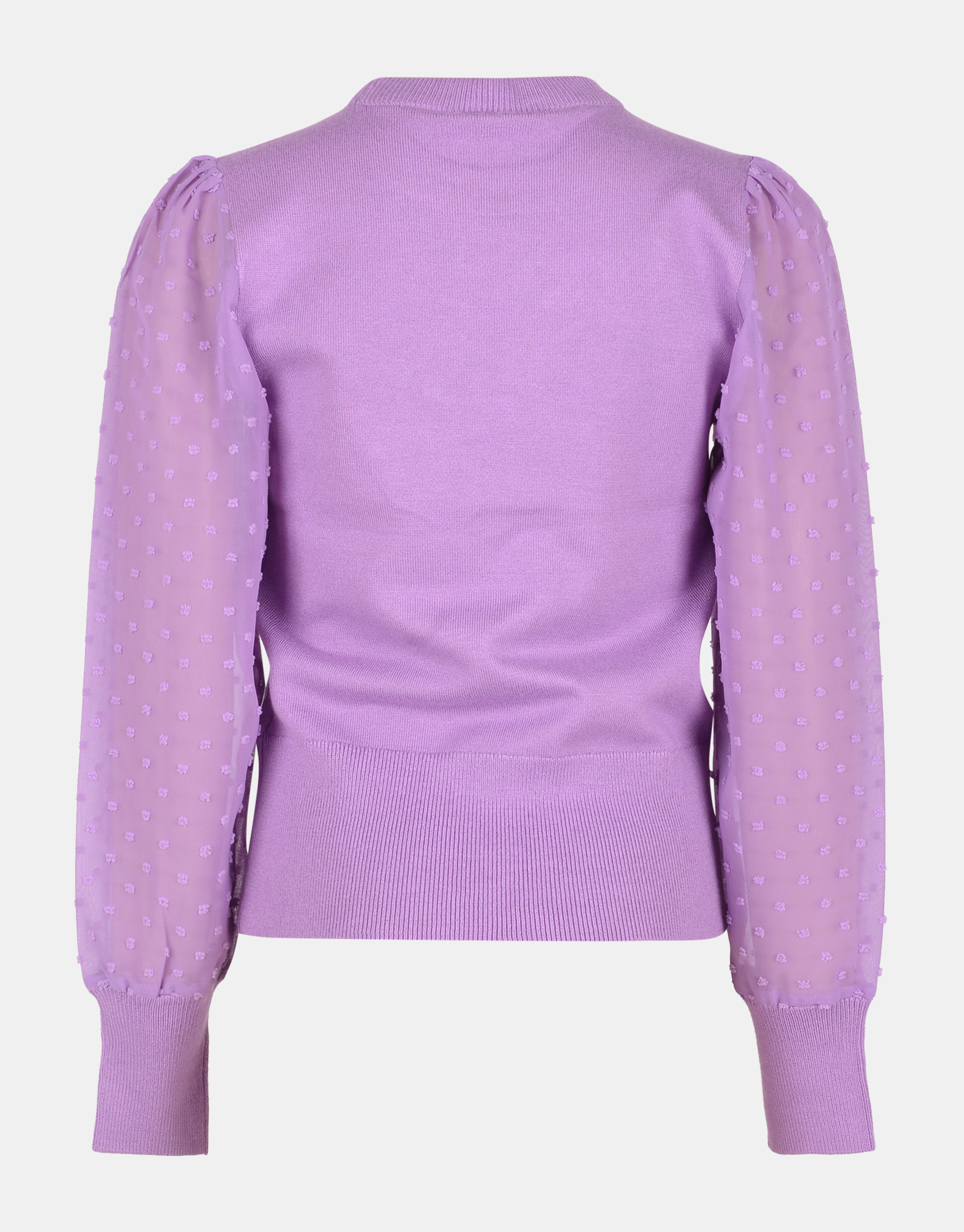 Mesh-Punkt-Pullover JILL&MITCH