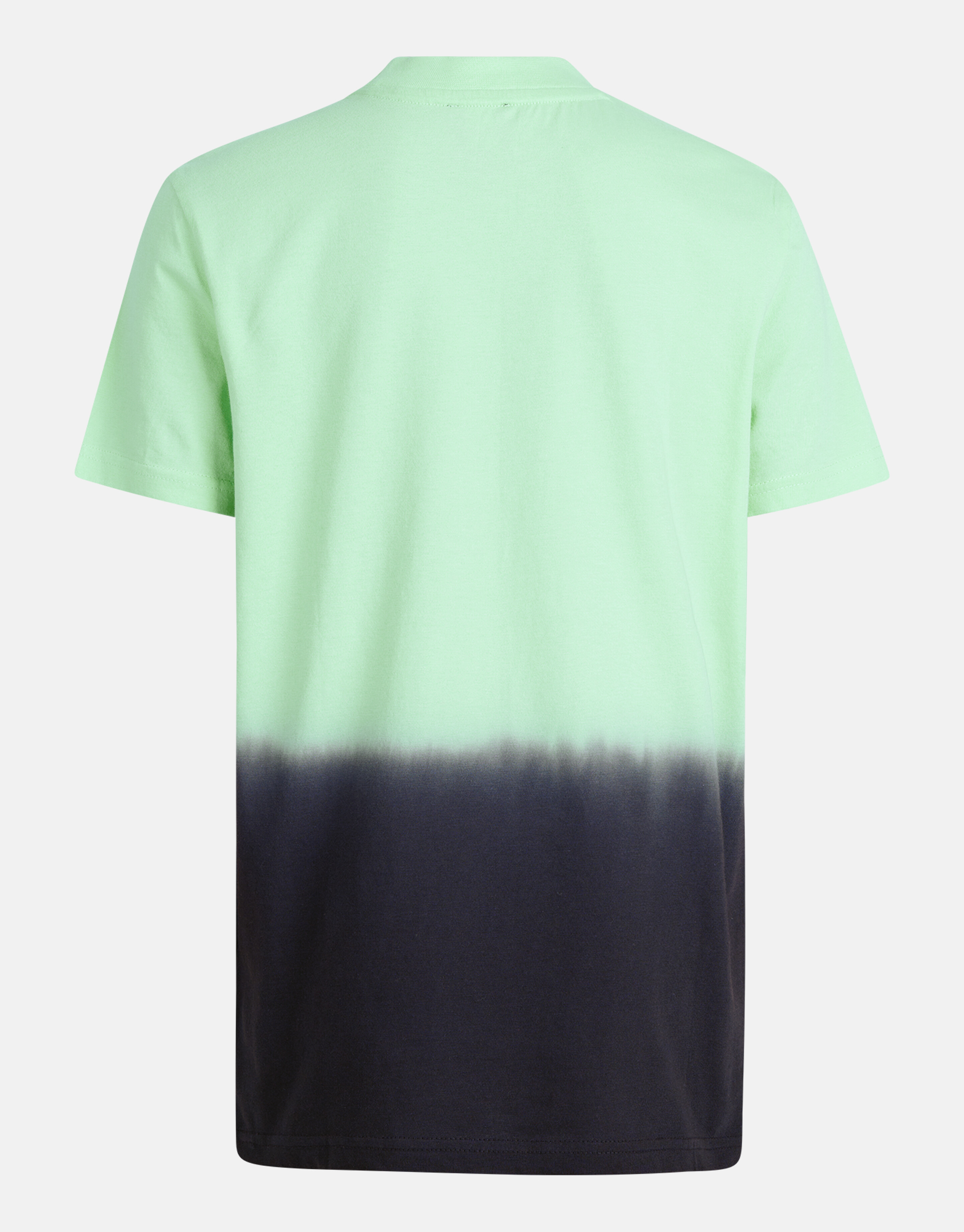 Dip Dye T-shirt Hellgrün SHOEBY BOYS