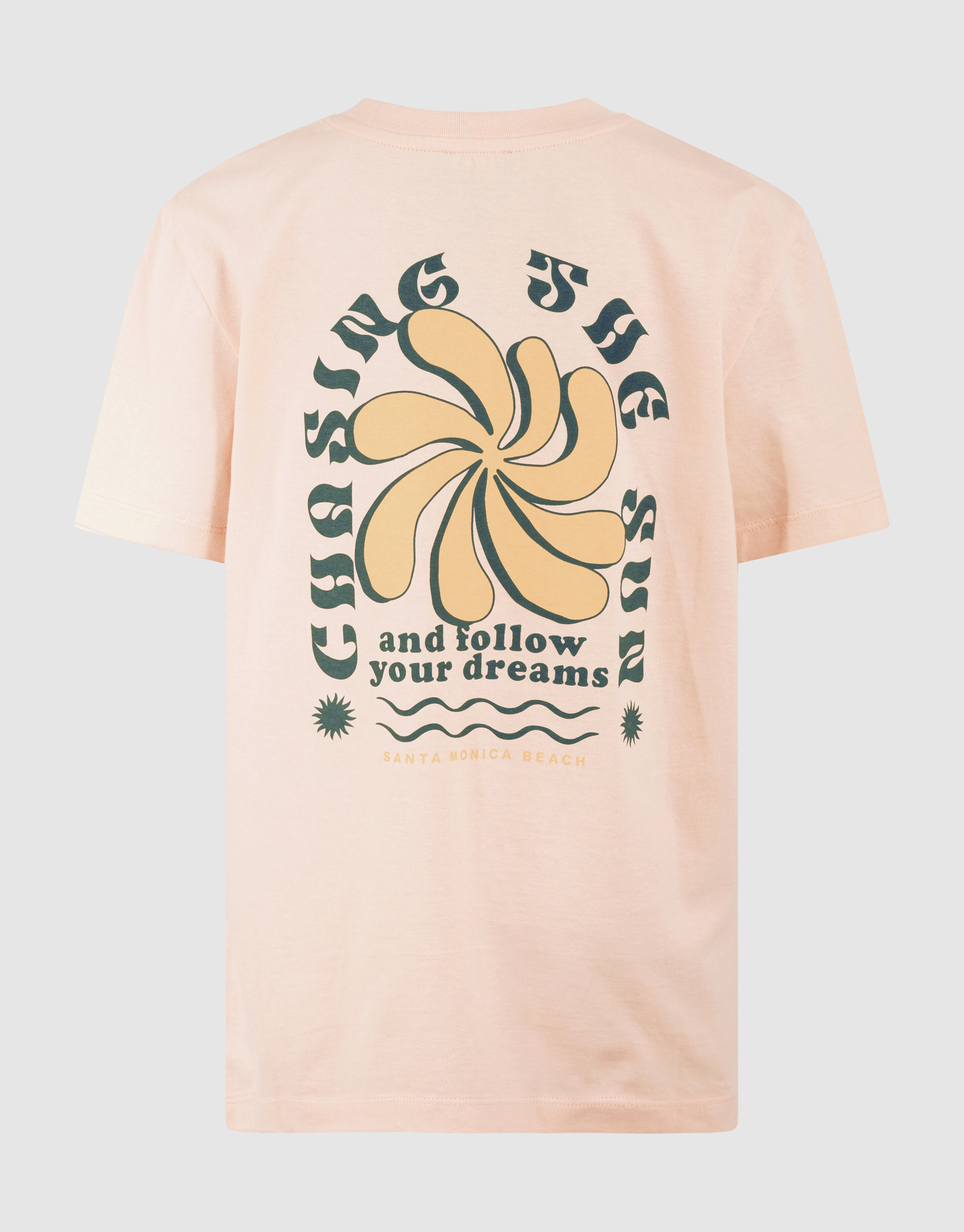 Chase Artwork T-shirt Hellorange SHOEBY BOYS