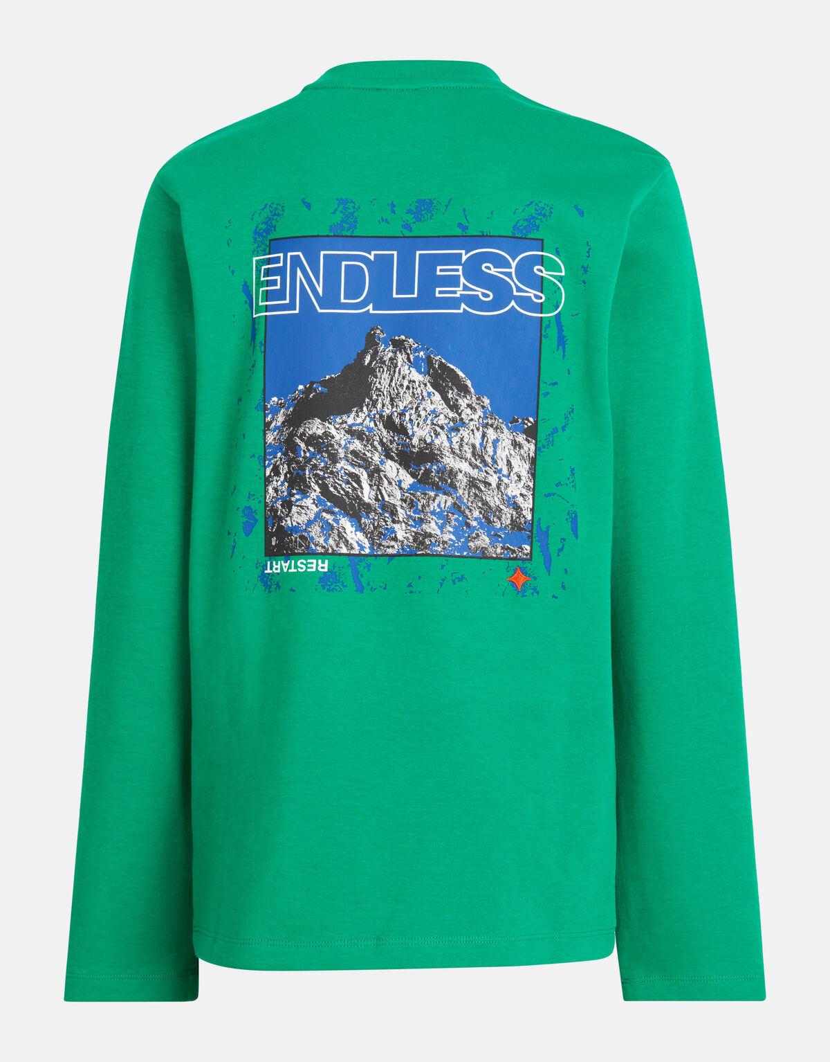 Artwork Longsleeve Grün SHOEBY BOYS