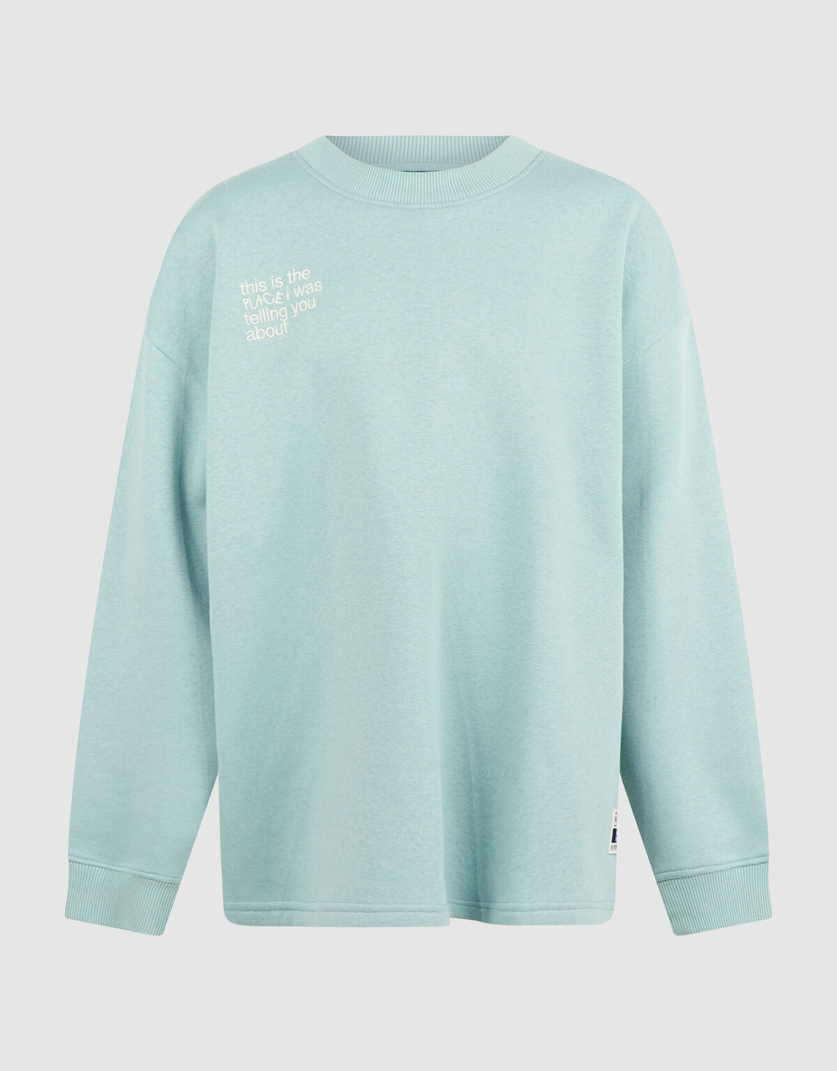 Logo Sweatshirt Hellgr&uuml;n SHOEBY BOYS