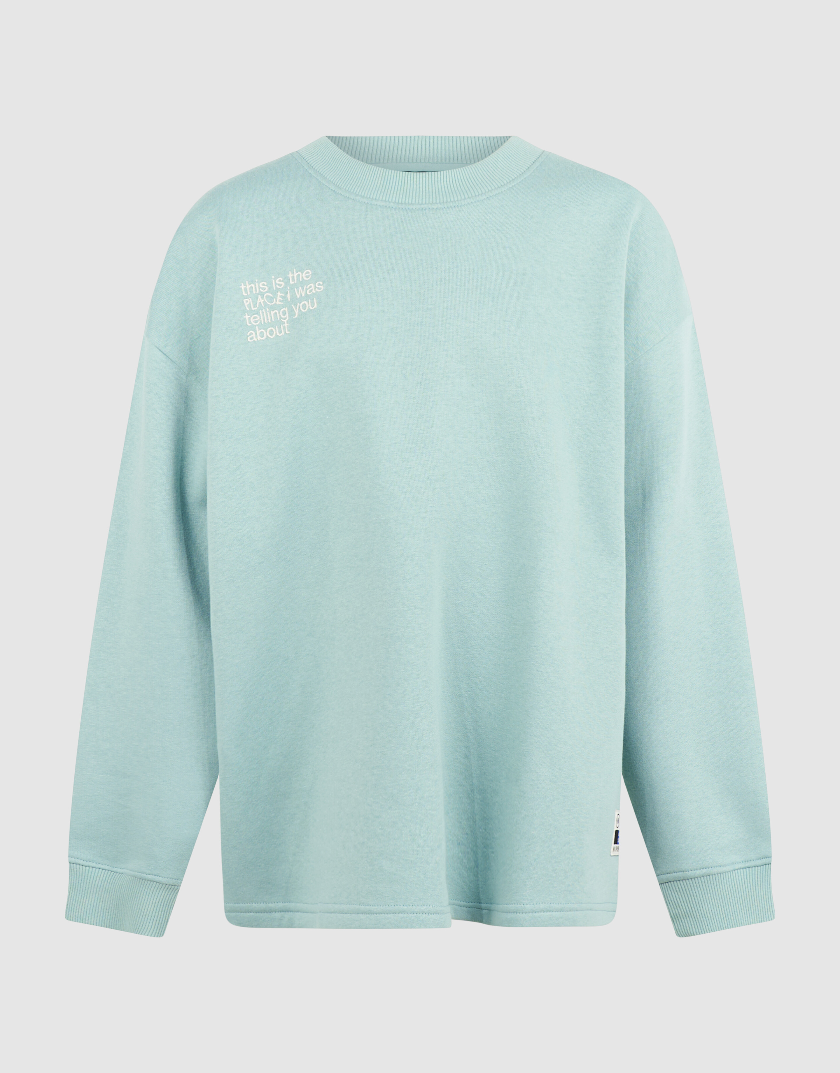 Logo Sweatshirt Hellgr&uuml;n SHOEBY BOYS