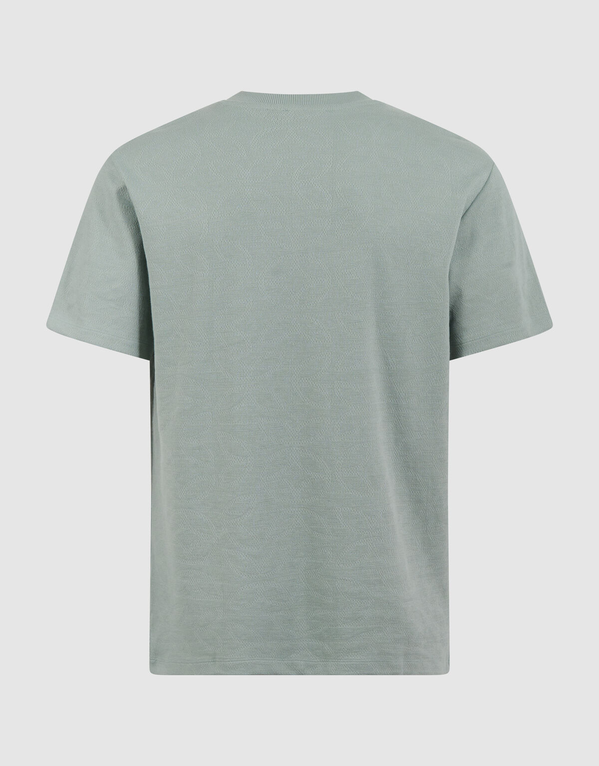 All Over Struktur T-Shirt Hellgr&uuml;n SHOEBY MEN