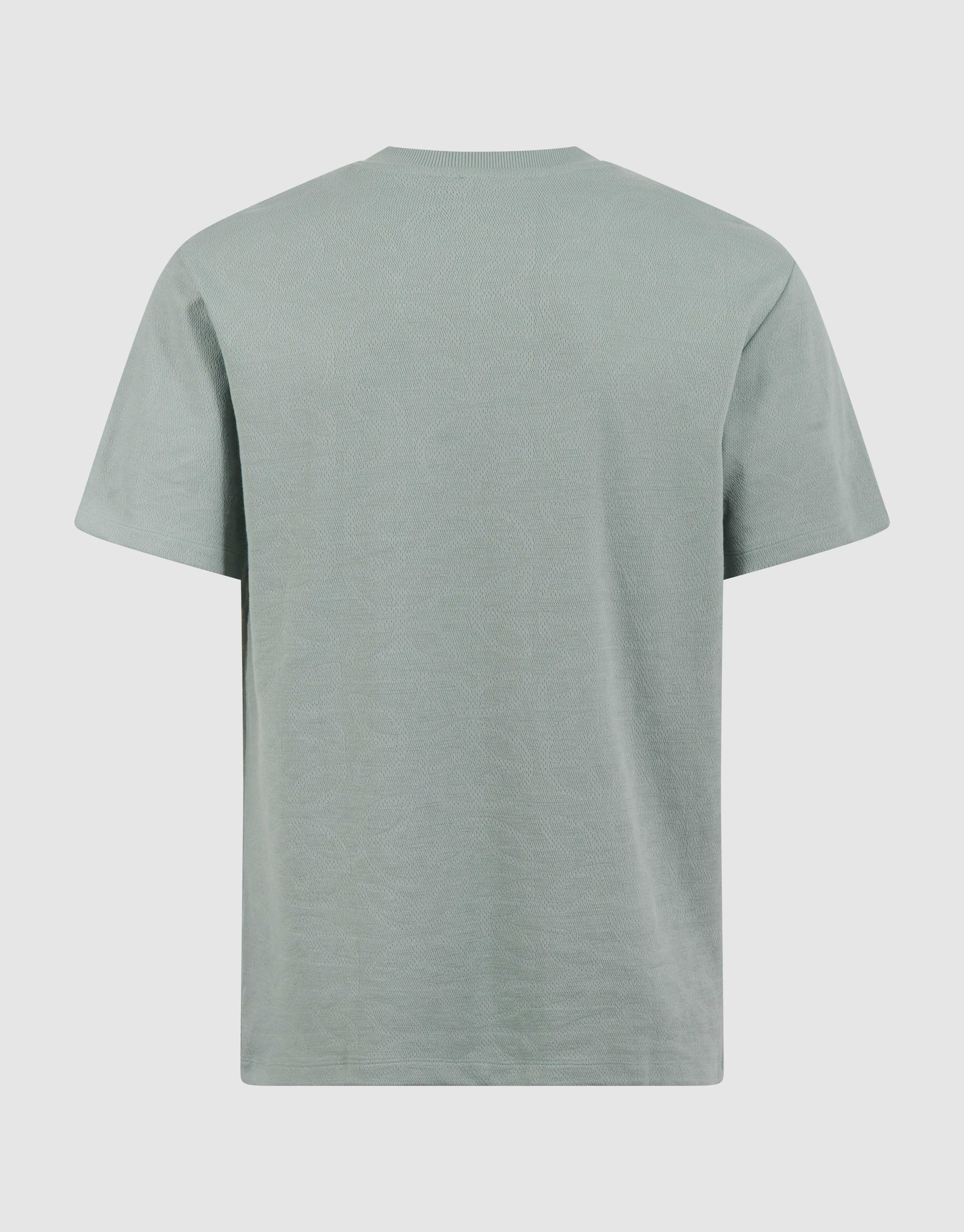 All Over Struktur T-Shirt Hellgr&uuml;n SHOEBY MEN