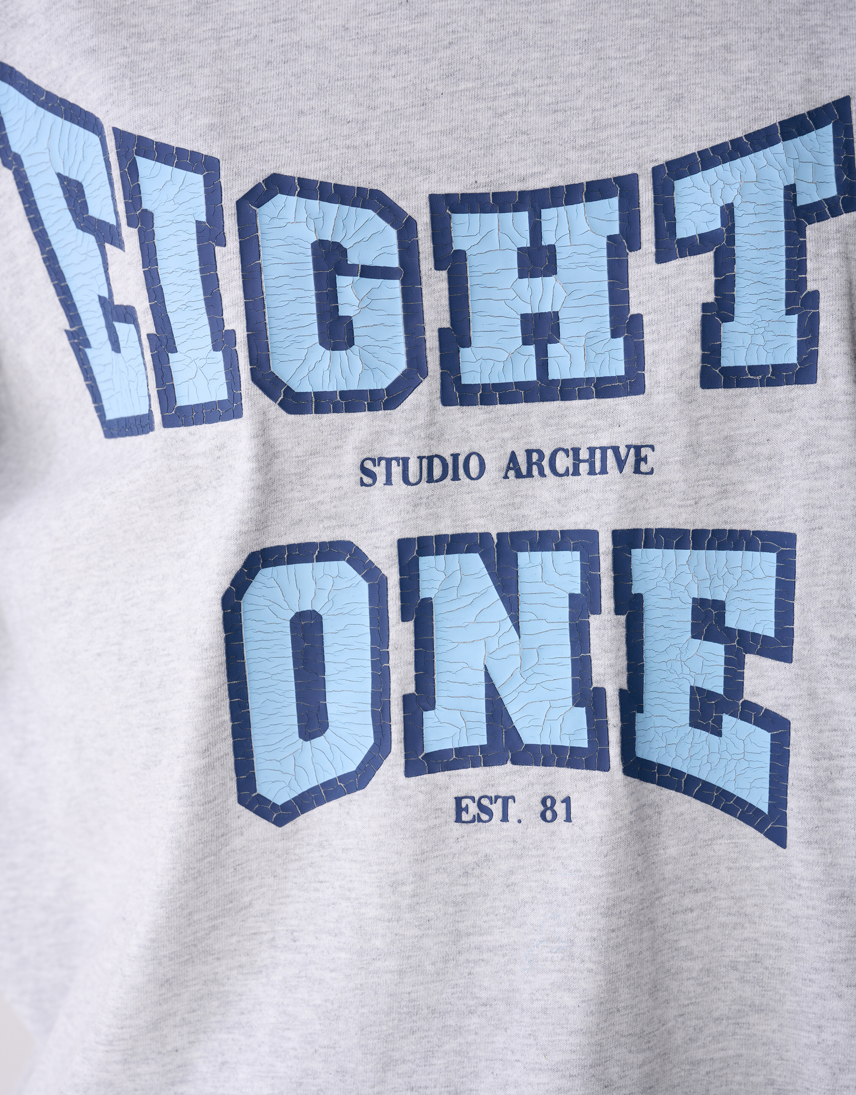 Eighty One Artwork T-Shirt Hellgrau SHOEBY WOMEN