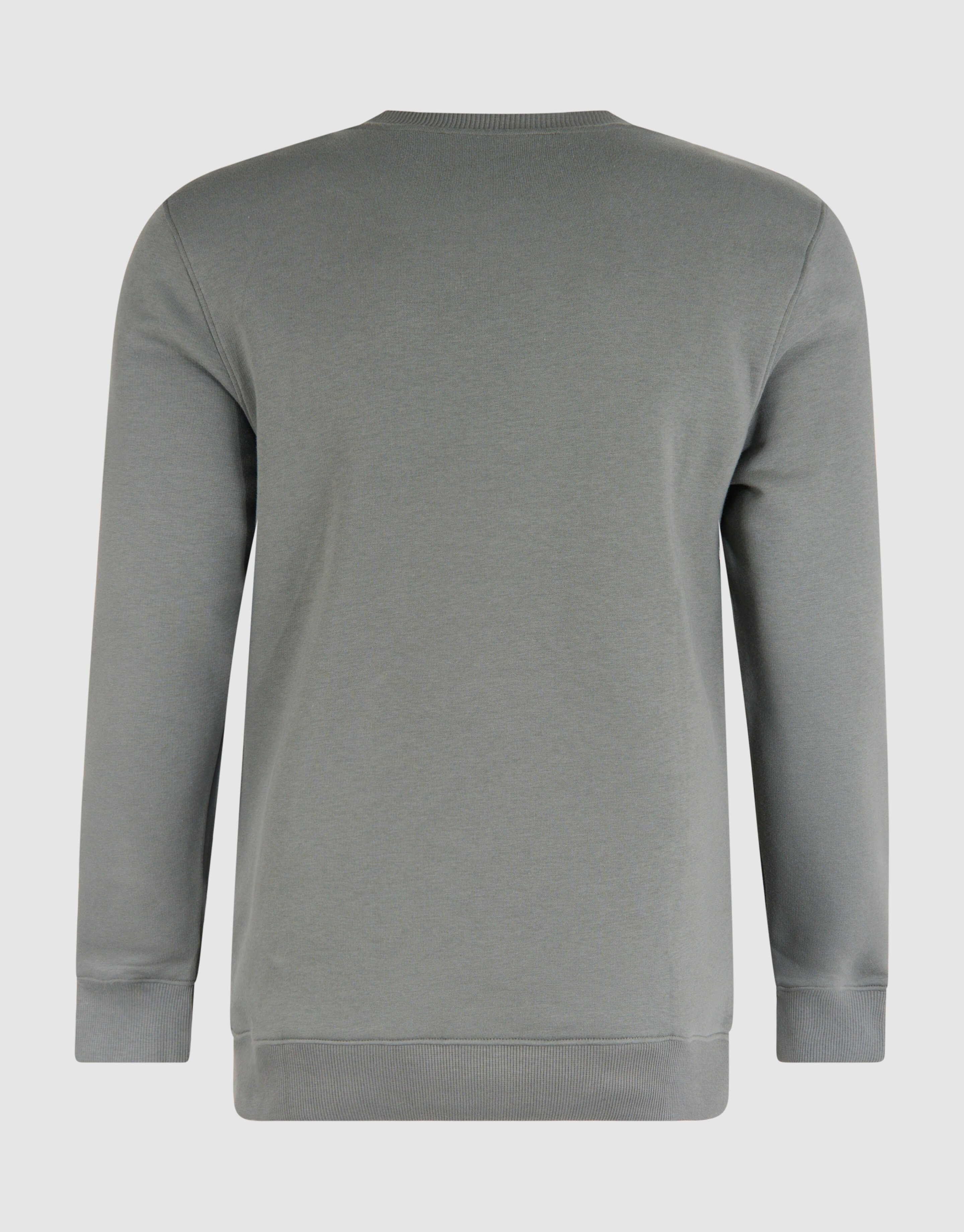 Glitzerpulli Dunkelgrün SHOEBY MEN