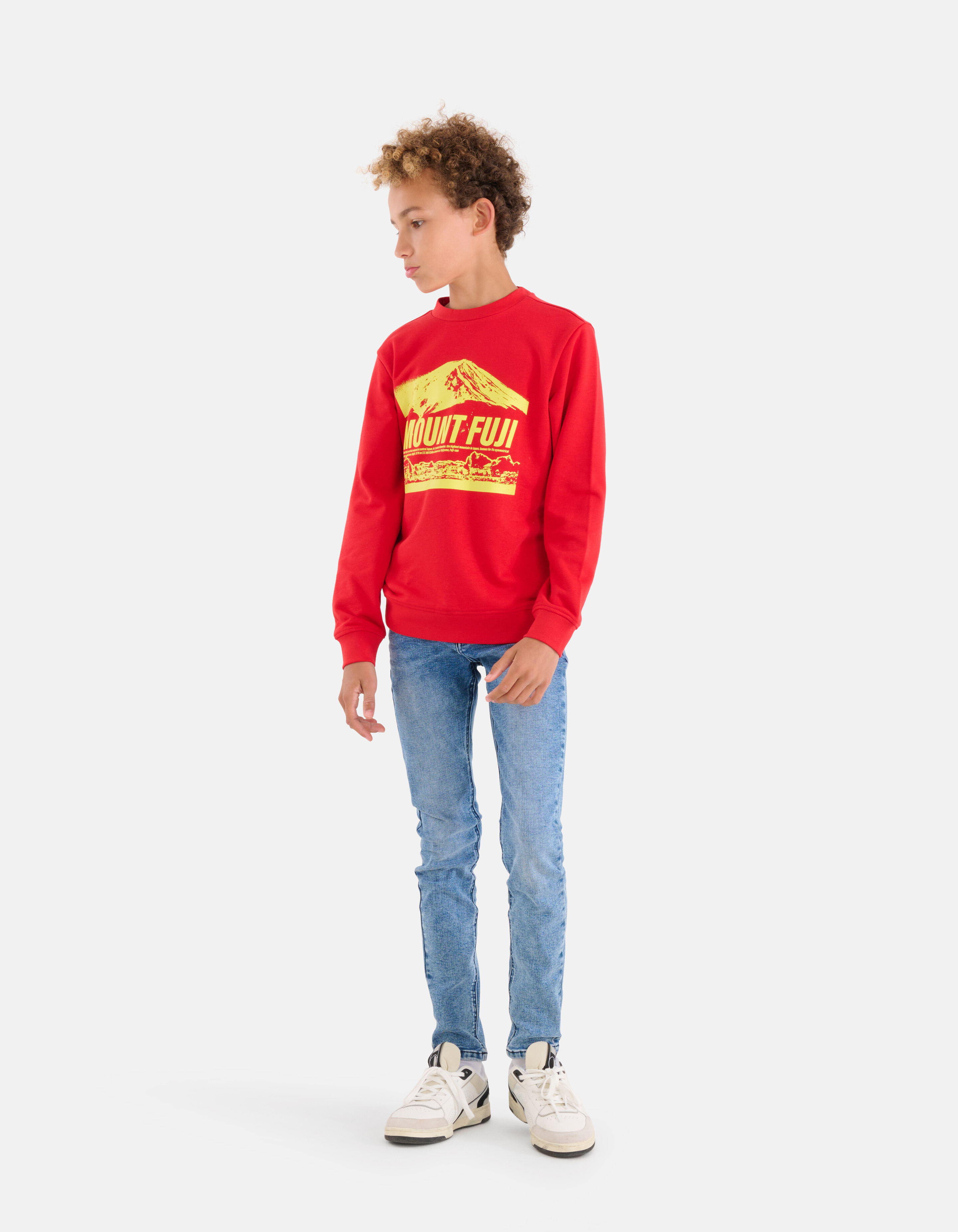 Bedruckter Pullover Rot SHOEBY BOYS