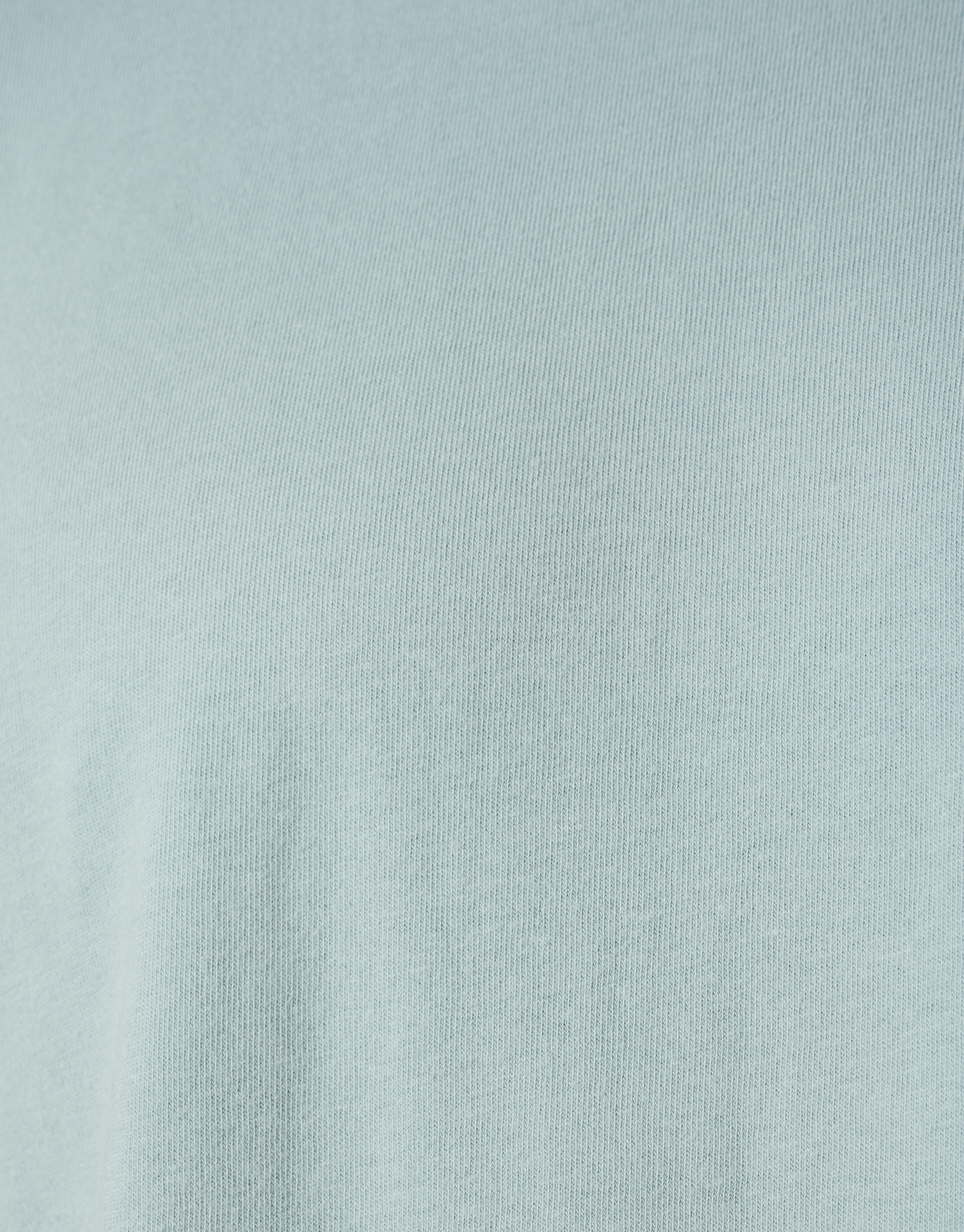 Gebürstetes T-shirt Grau SHOEBY MEN