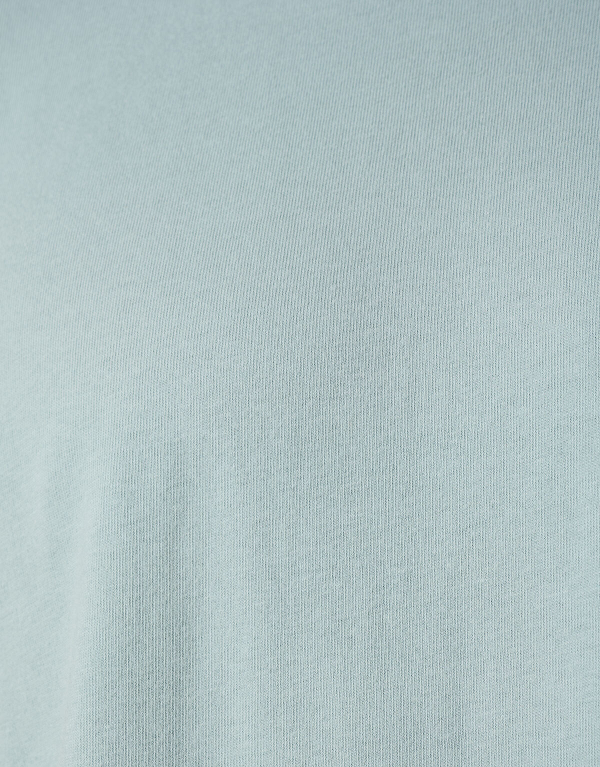 Gebürstetes T-shirt Grau SHOEBY MEN