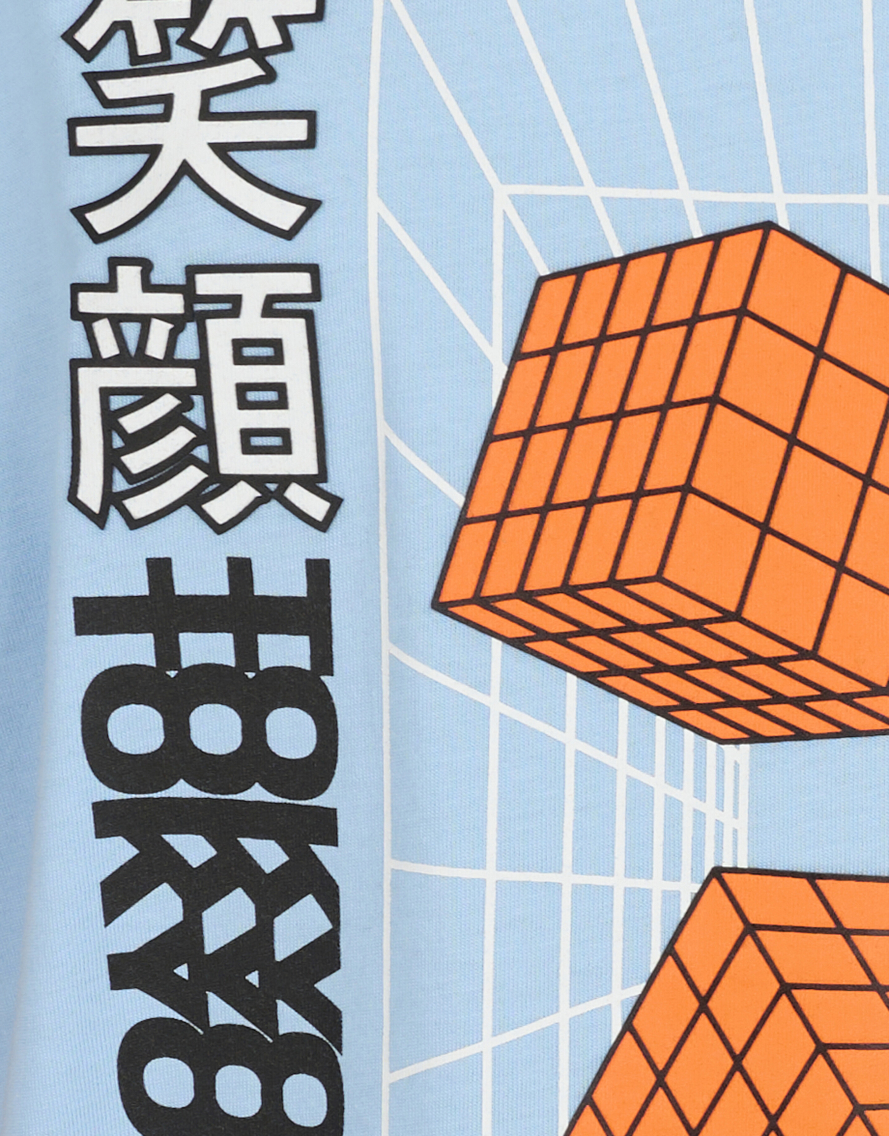 Graphic Artwork T-Shirt Hellblau SHOEBY BOYS