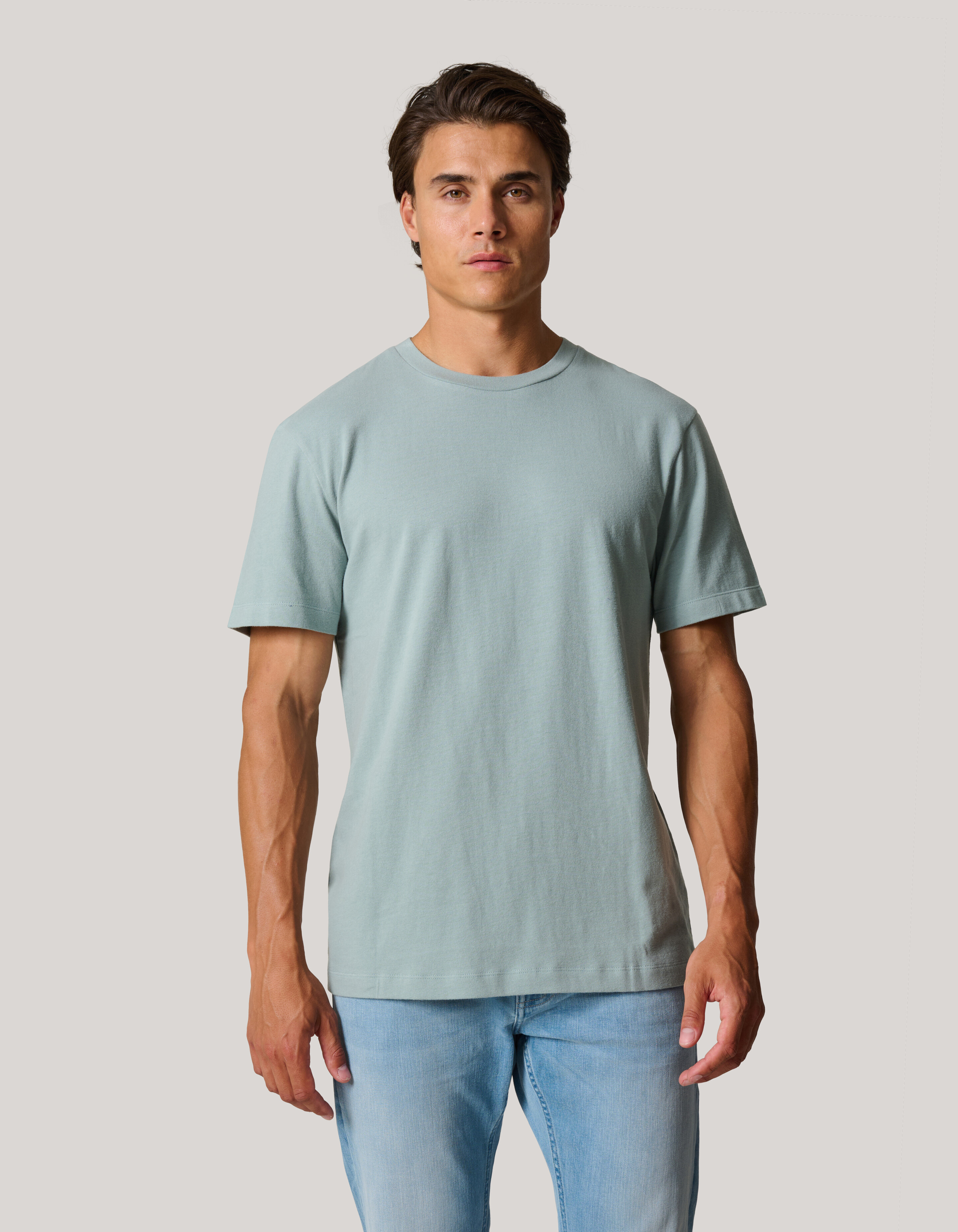 Gebürstetes T-shirt Grau SHOEBY MEN