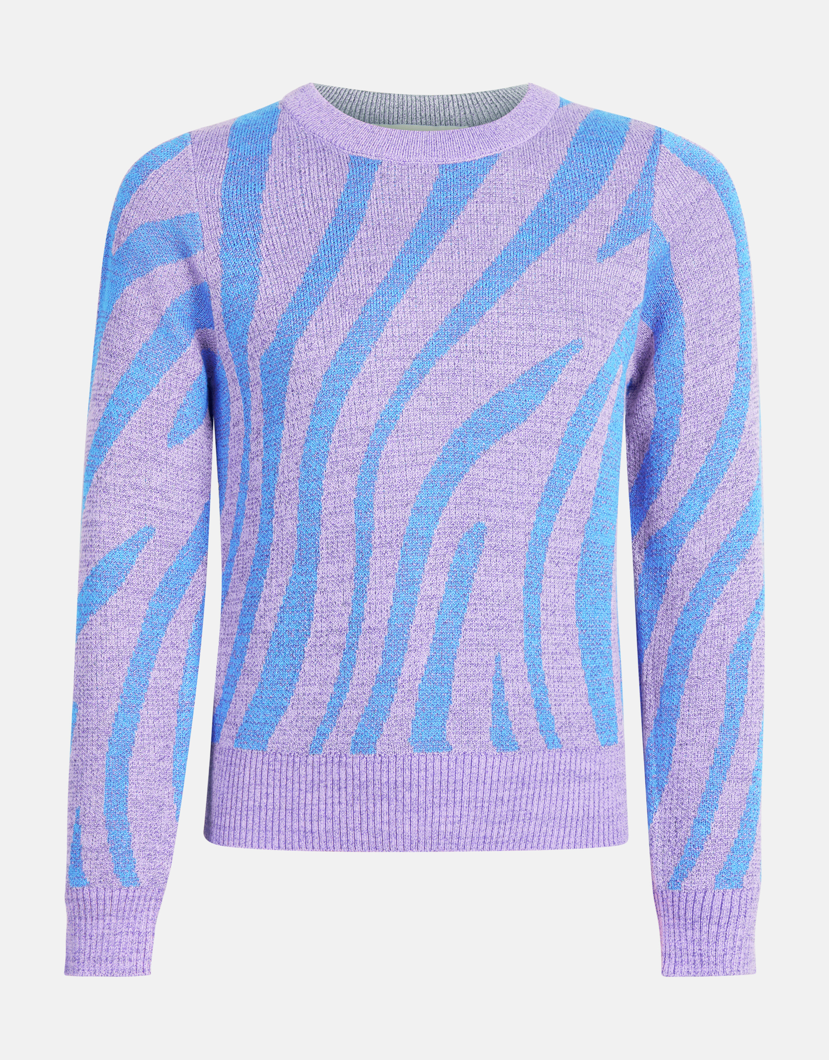 Zebra Glitter Trui Blauw SHOEBY GIRLS