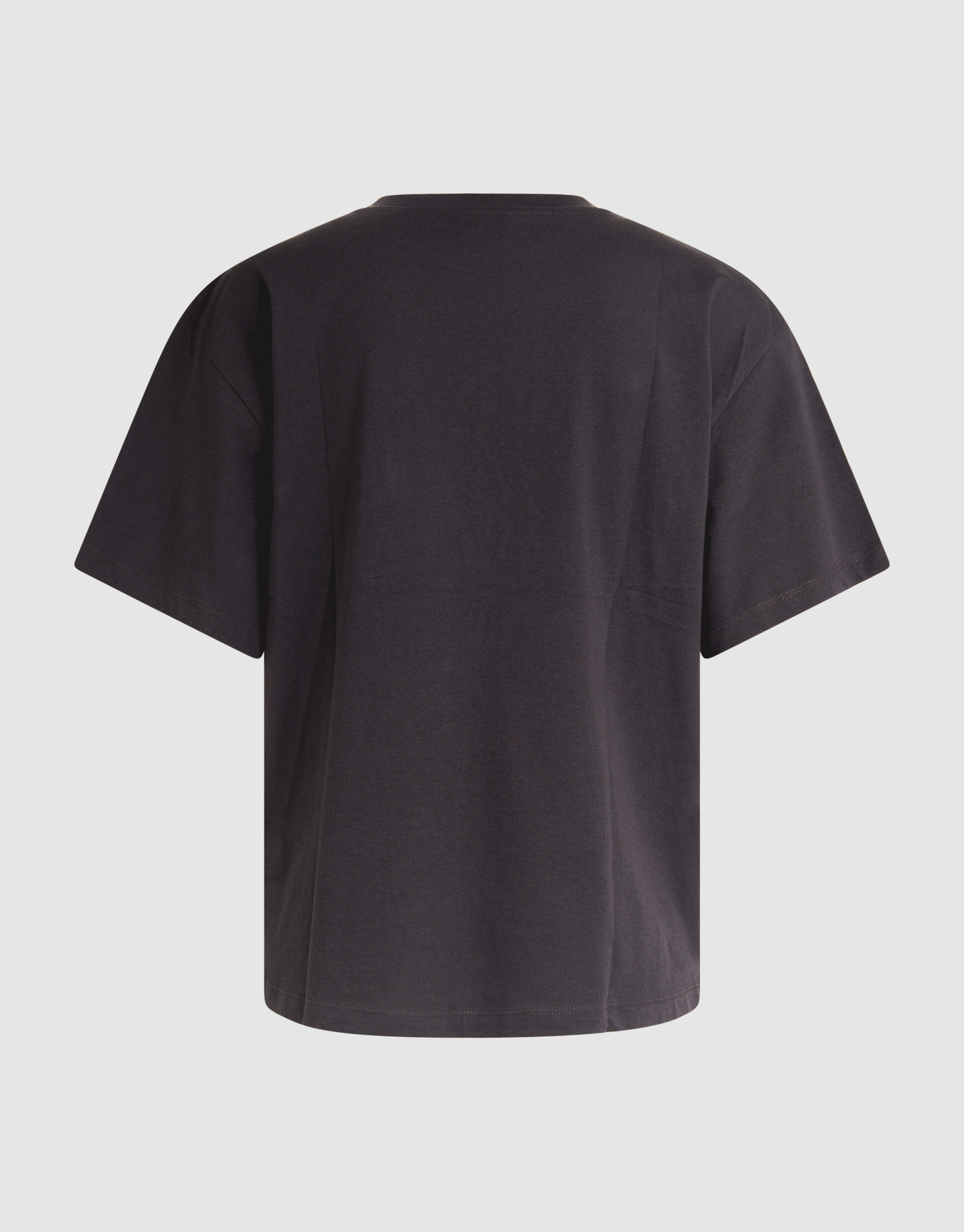 Le Soleil Kunstwerk T-shirt Dunkelgrau SHOEBY WOMEN