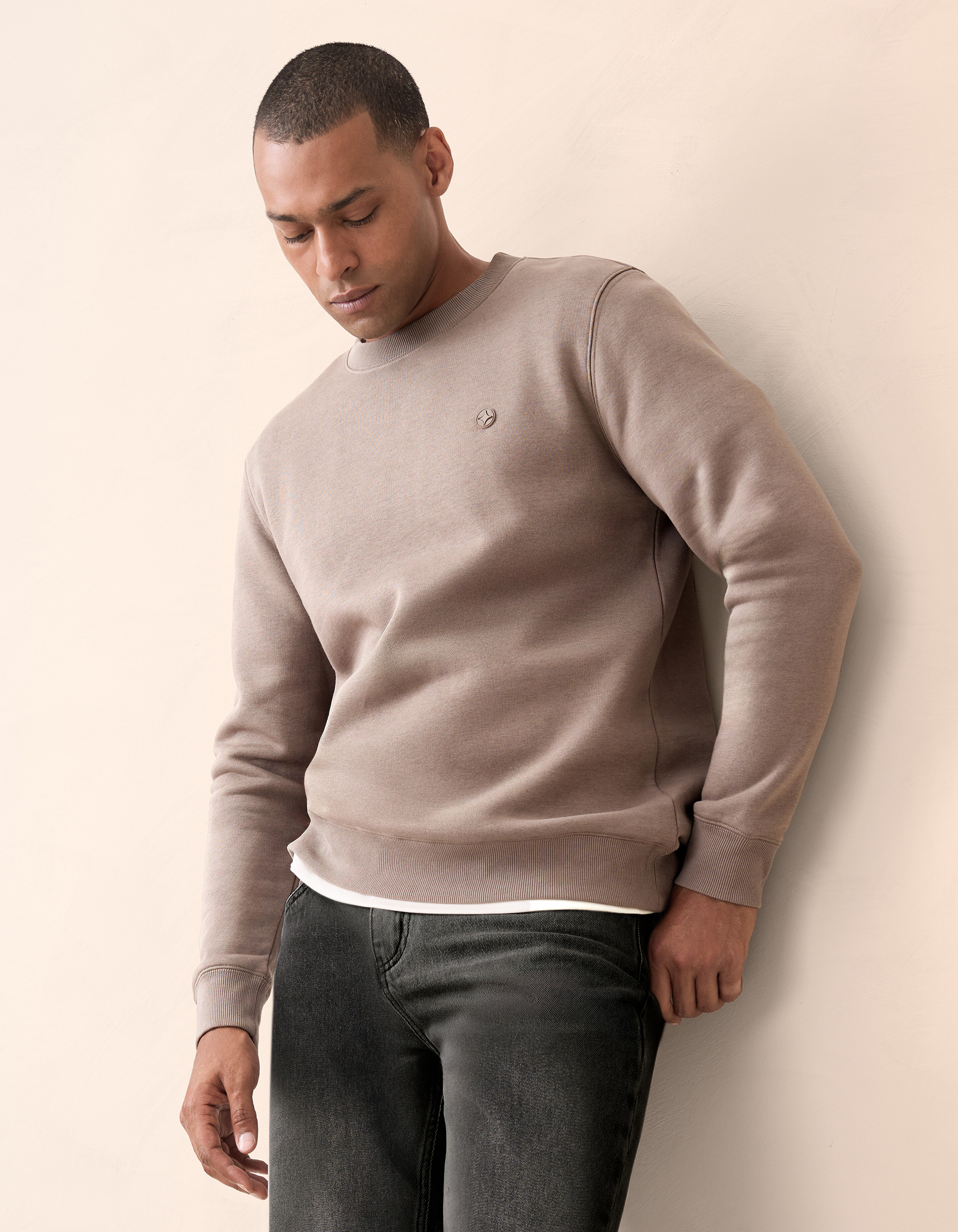 Abzeichen Pullover Hellbraun SHOEBY MEN