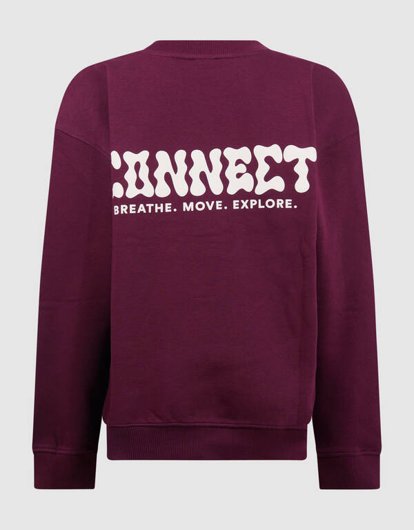 Connect Artwork Pullover Dunkelrot SHOEBY BOYS
