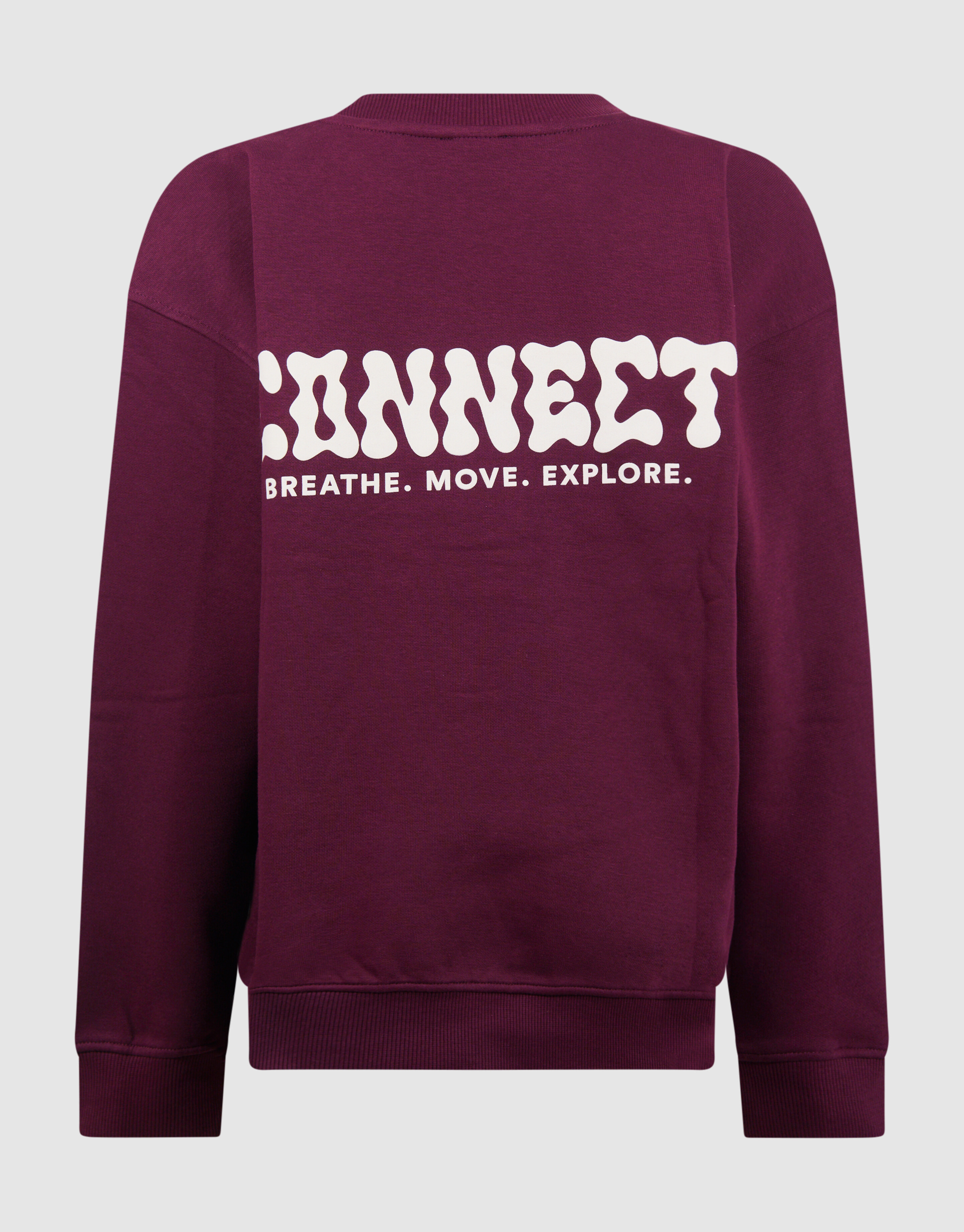Connect Artwork Pullover Dunkelrot SHOEBY BOYS
